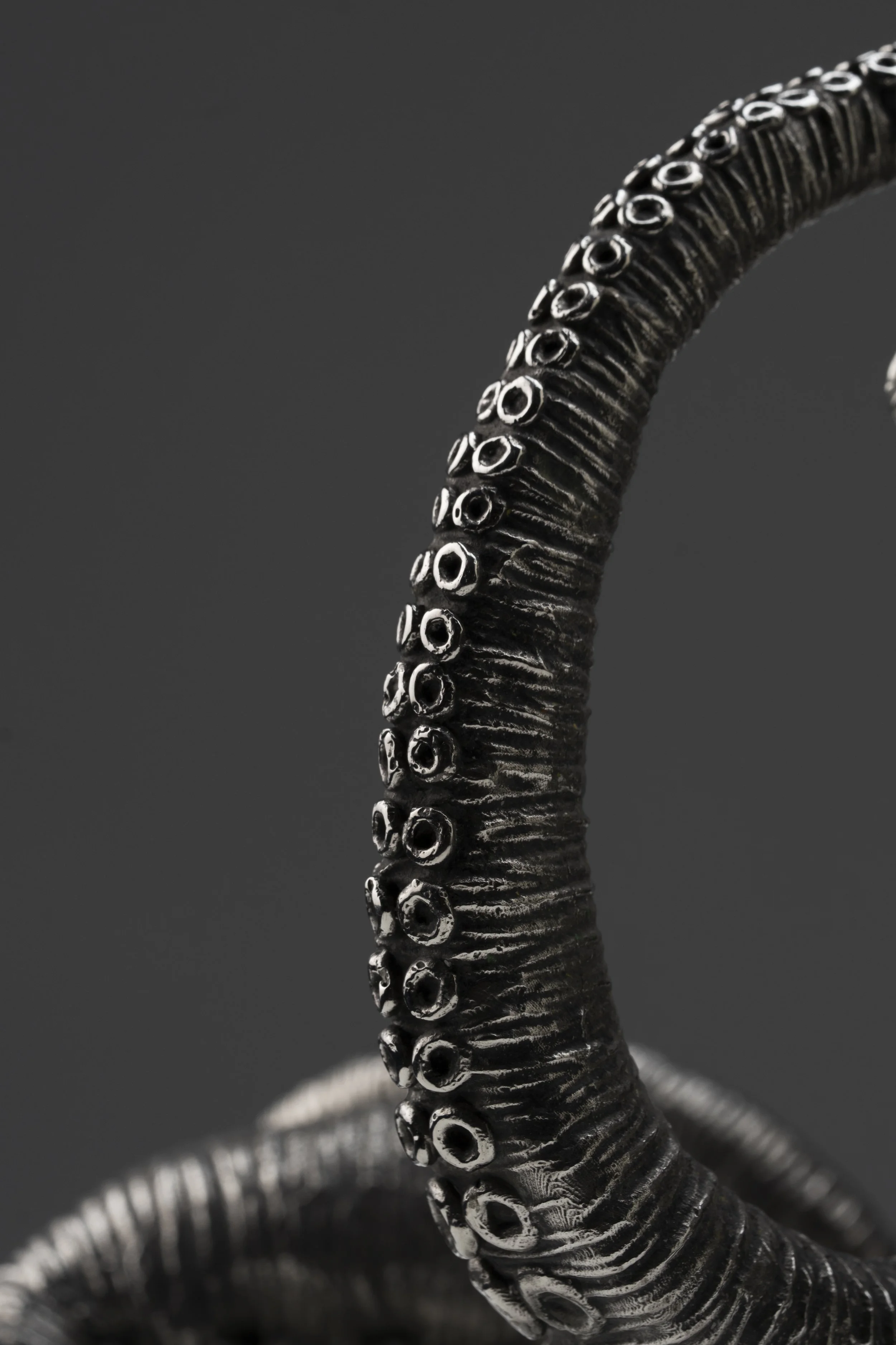 Cereal Cephalopod