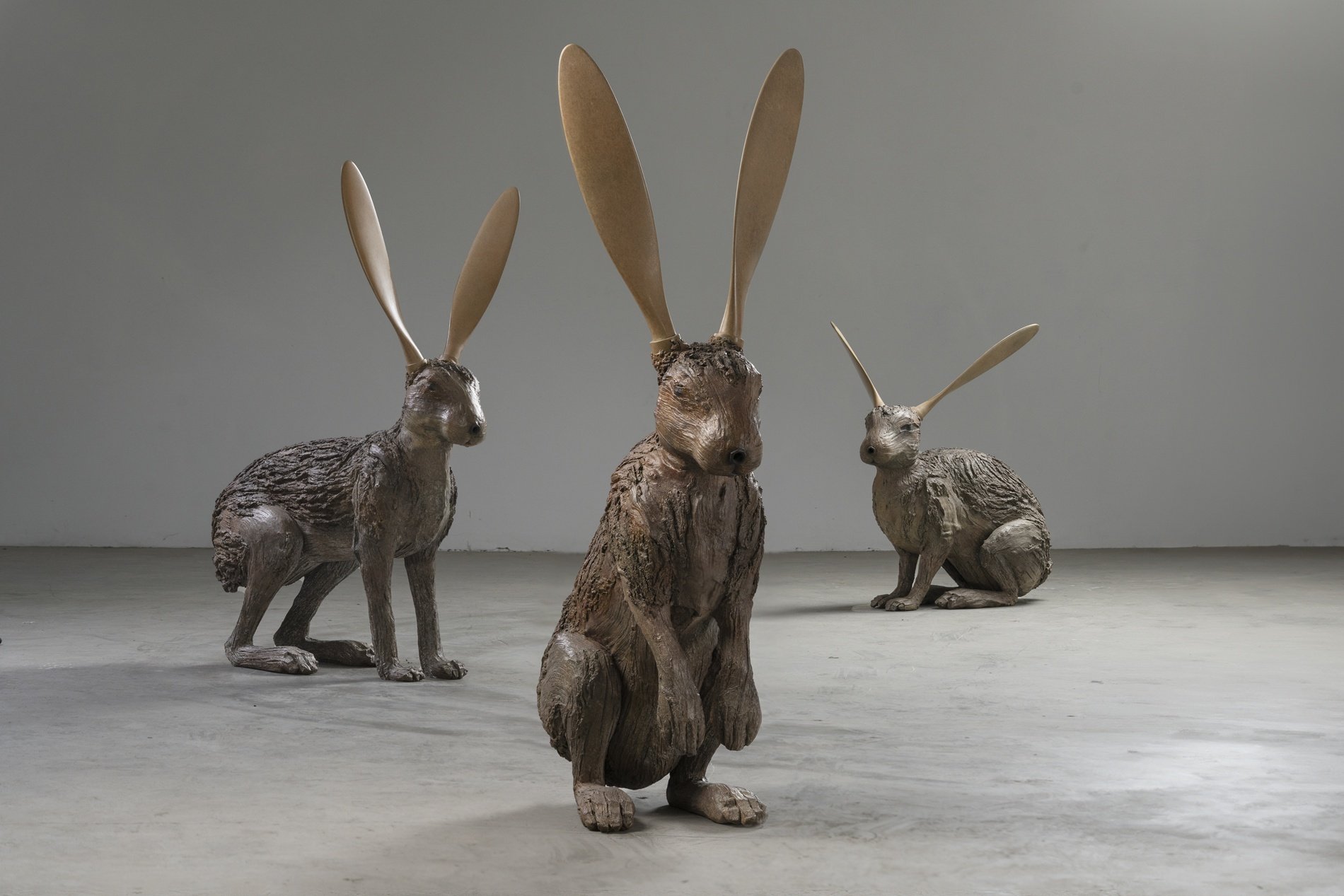Hare Planes 1.jpg