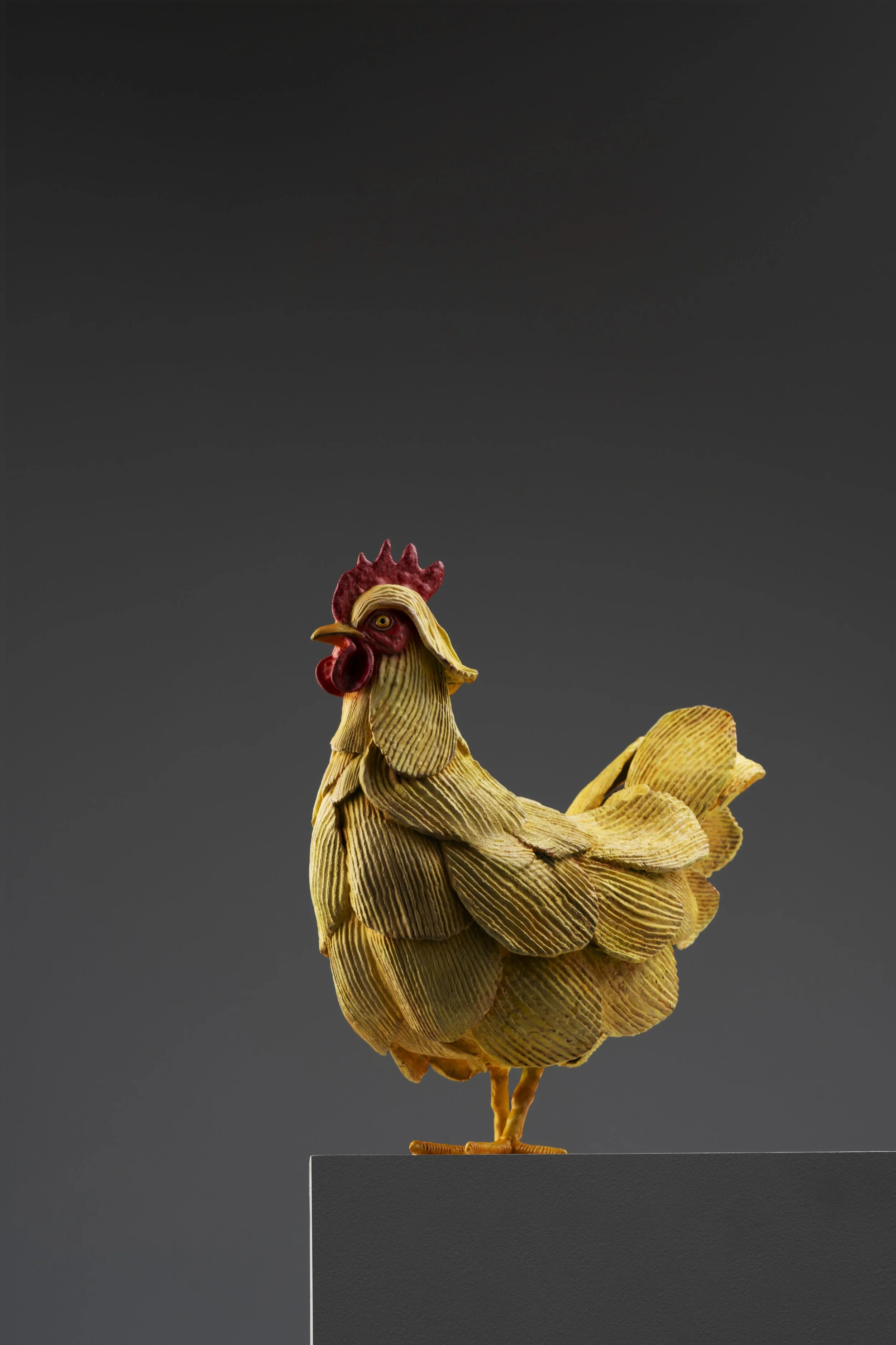 Ruffled Feathers