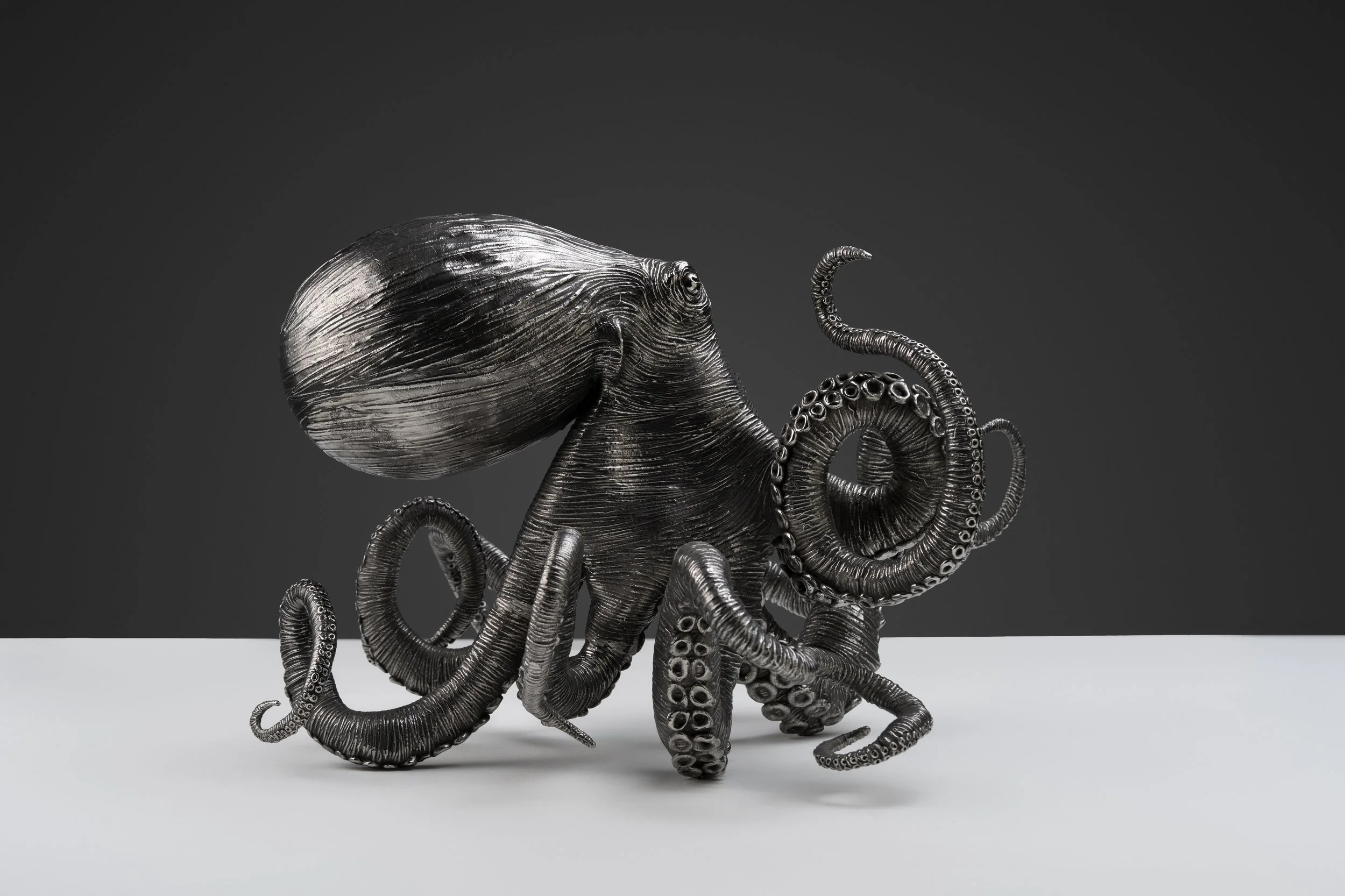 Cereal Cephalopod