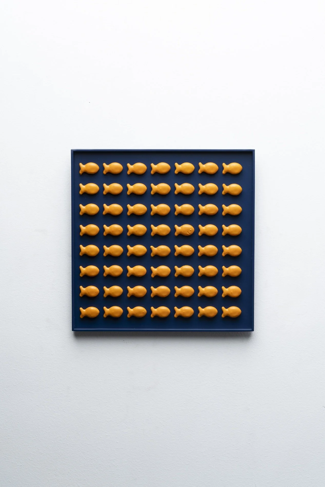 Skoto goldfish.jpg