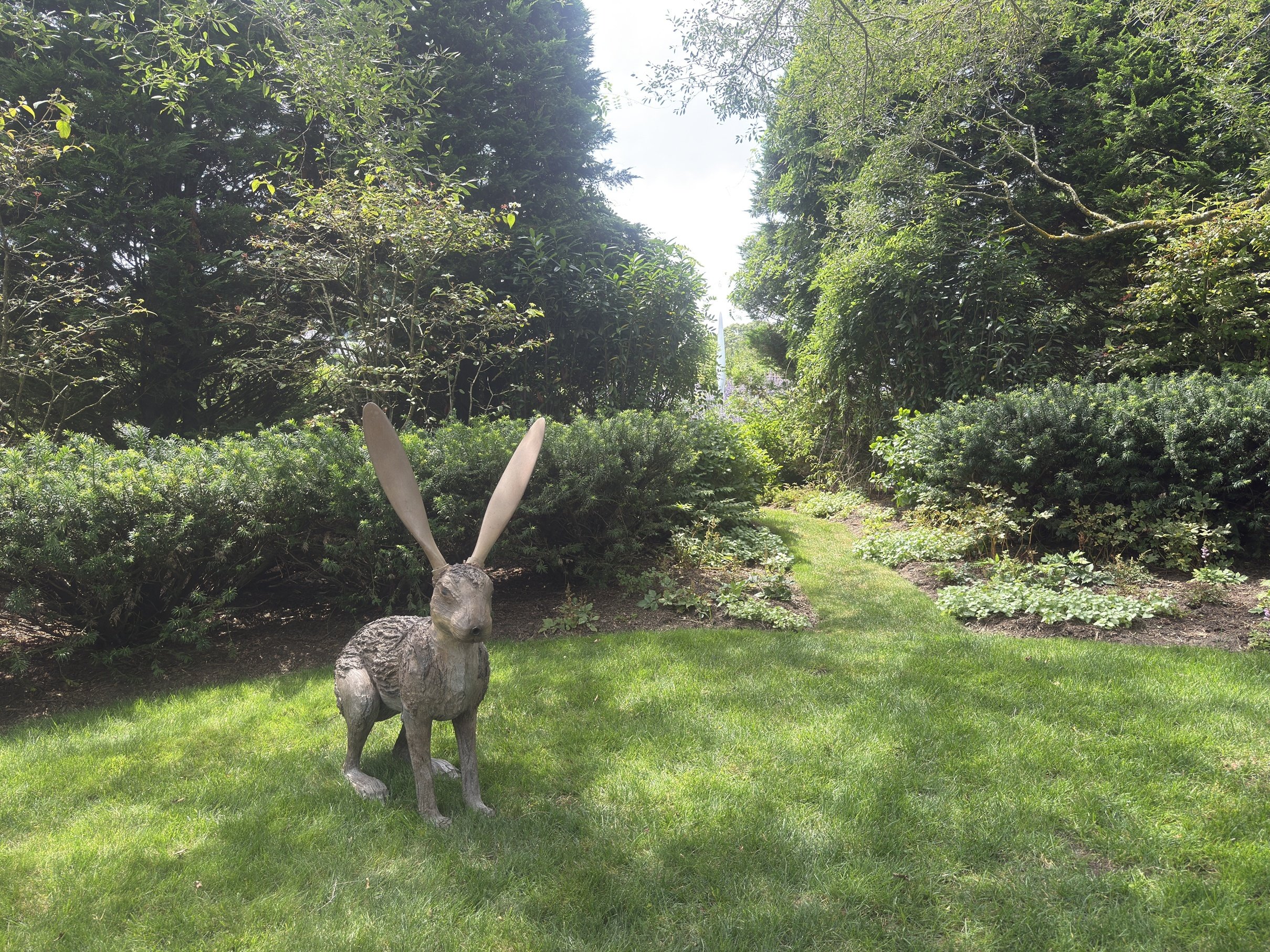 Hare Planes installed 3.jpg