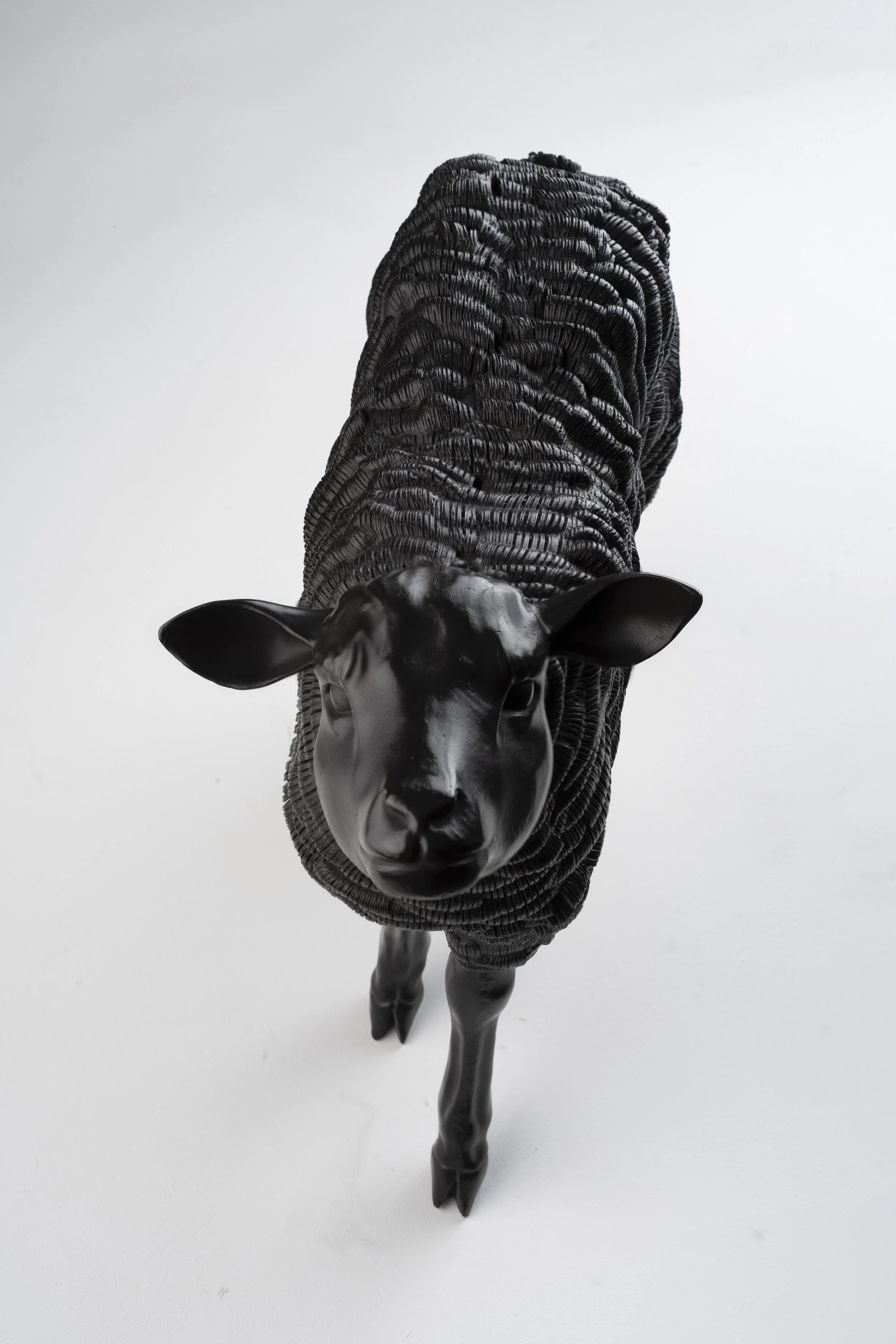 Oreo Ewe