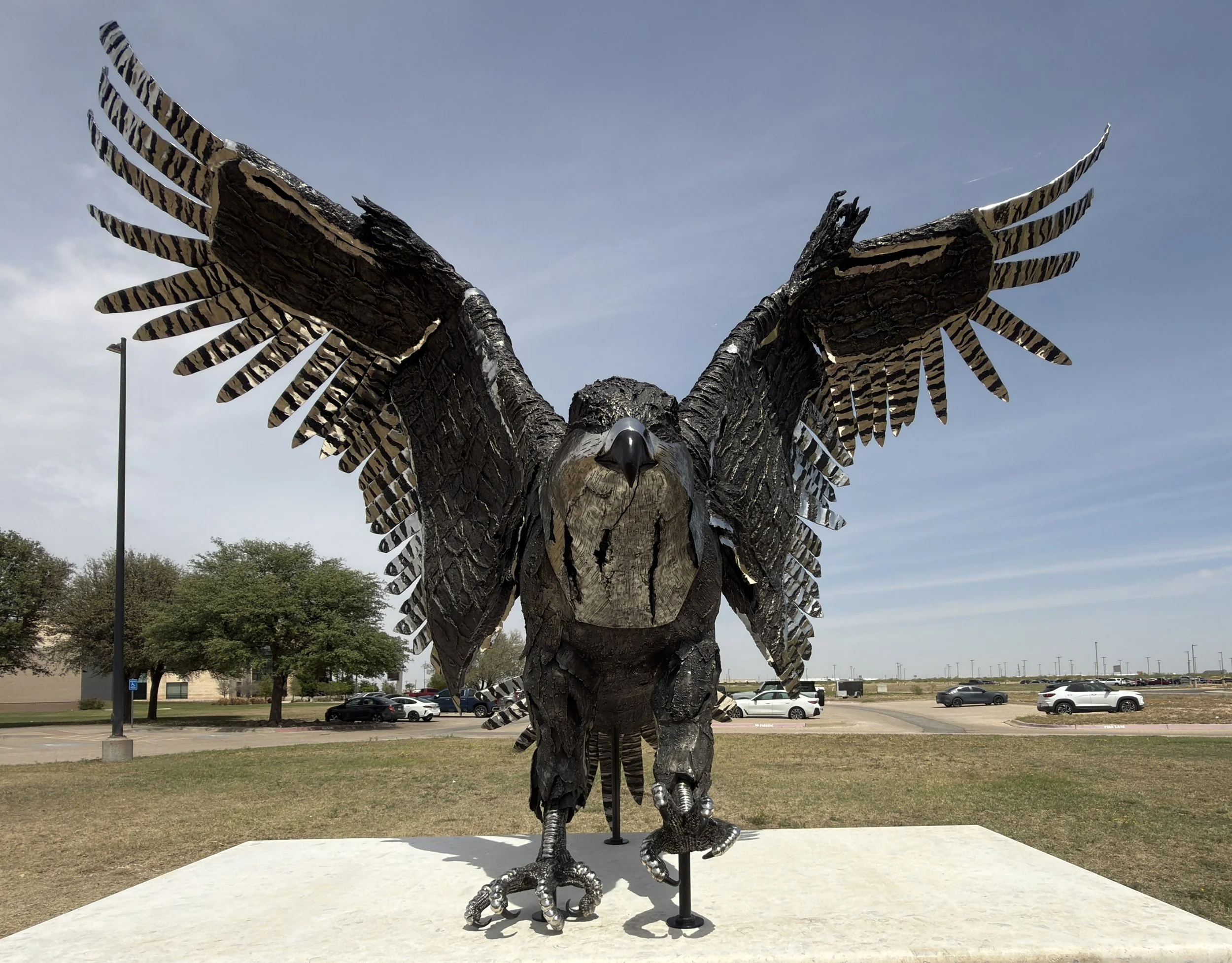 Freddy The Falcon
