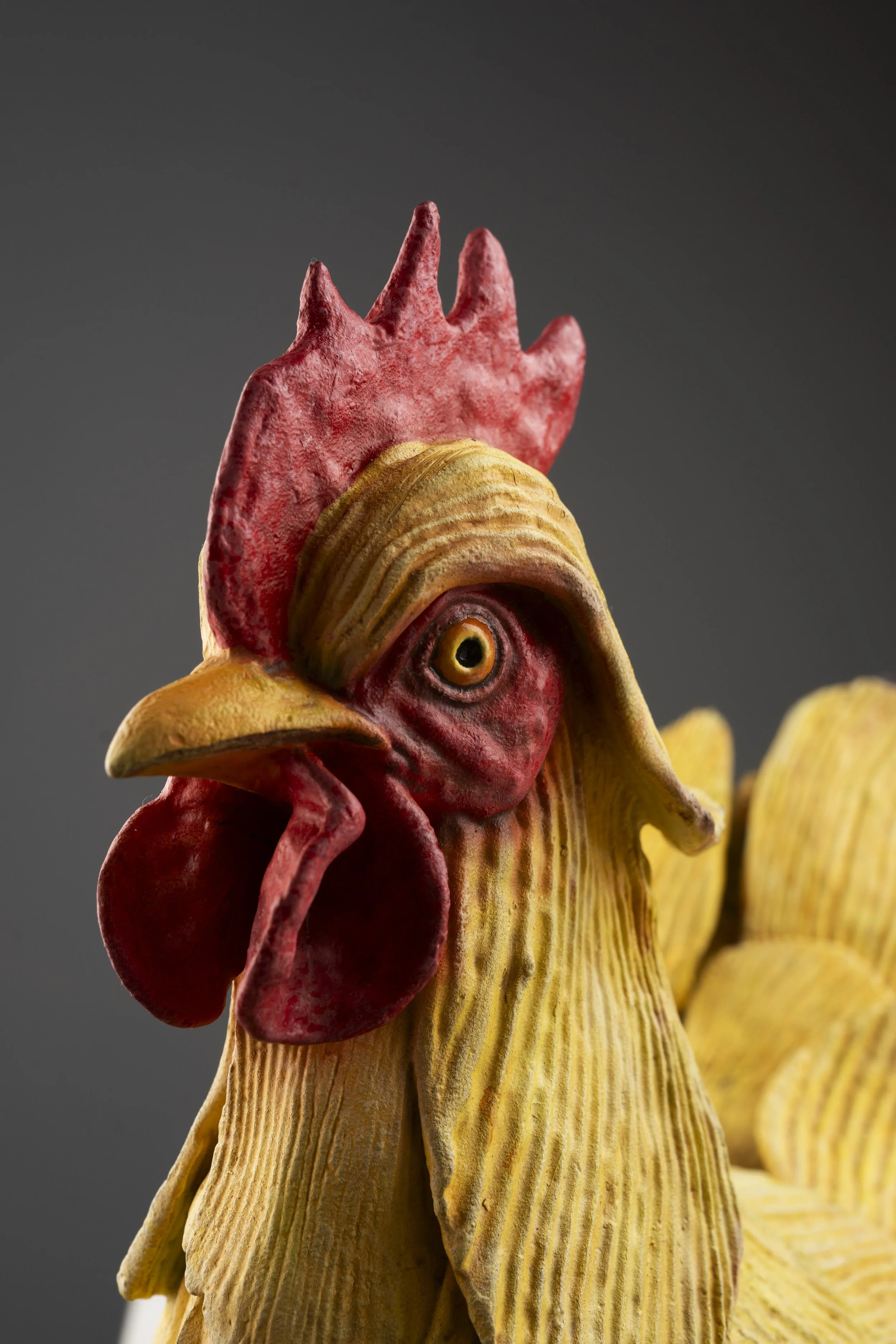 Ruffled Feathers