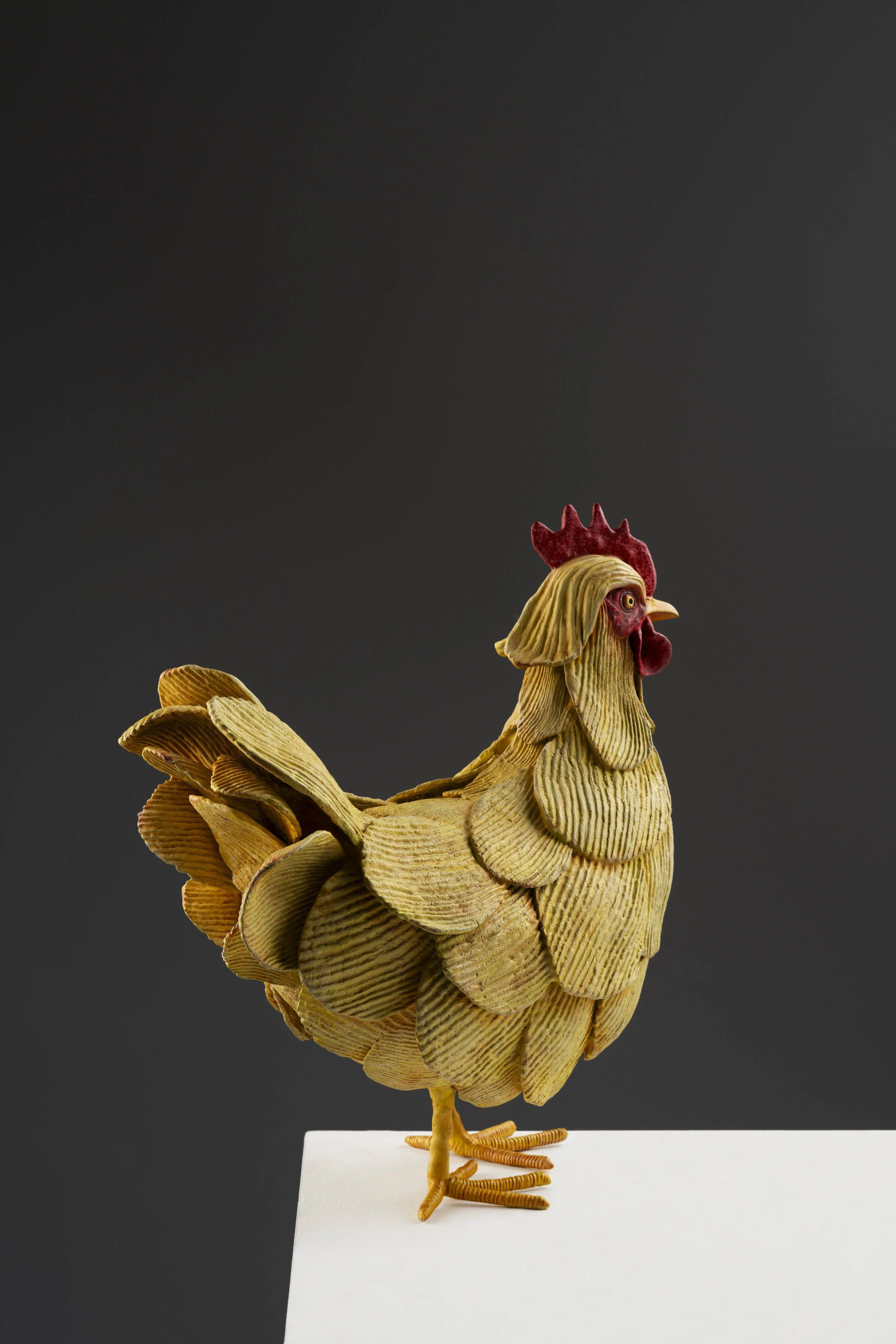 Ruffled Feathers