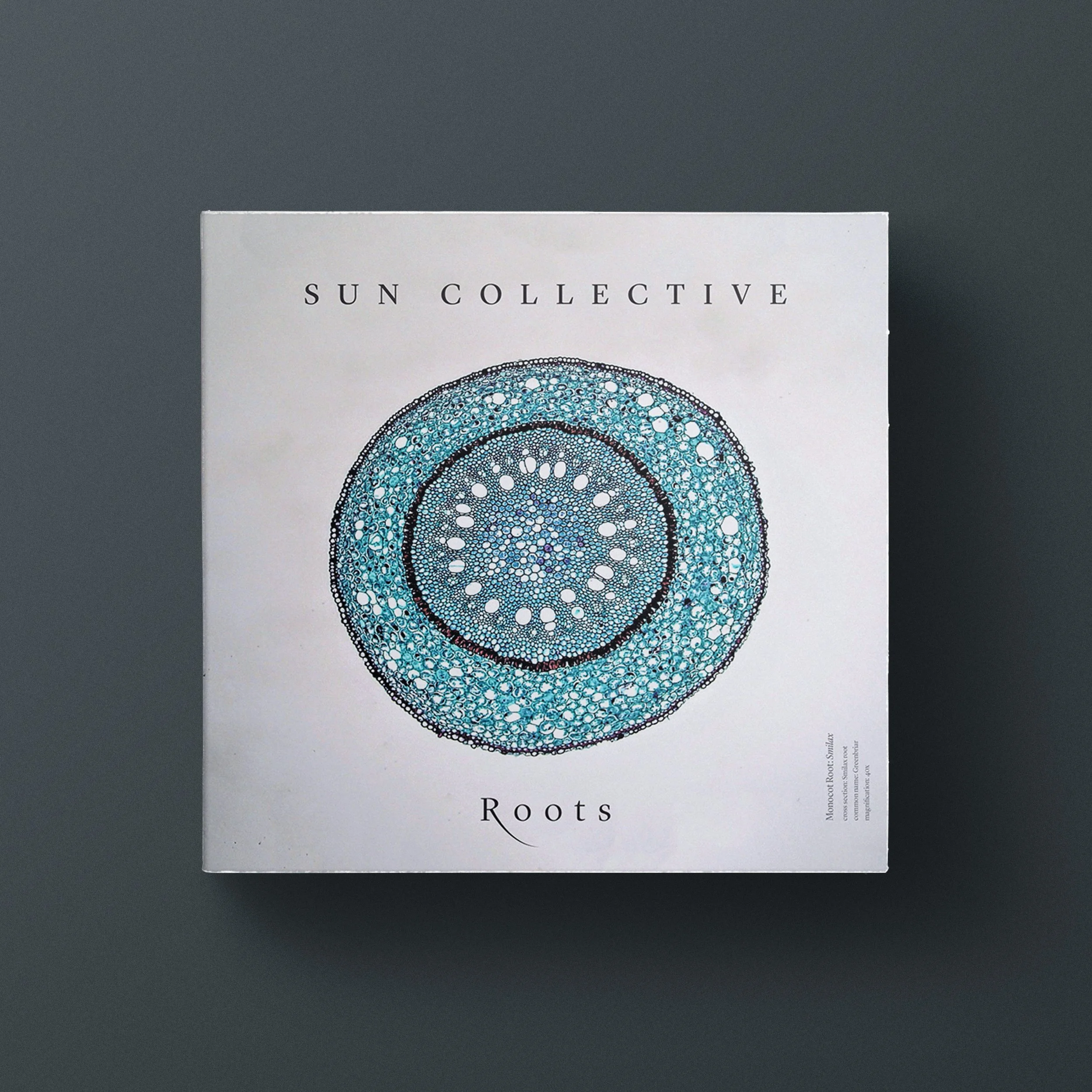 Cun Collective Roots 1.jpg