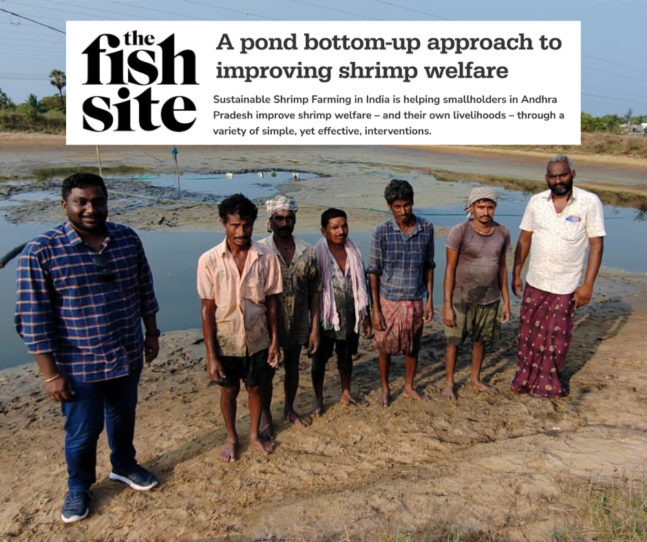 articles for website (1).png