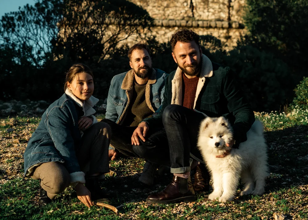 snow-samoyede-ours-nice