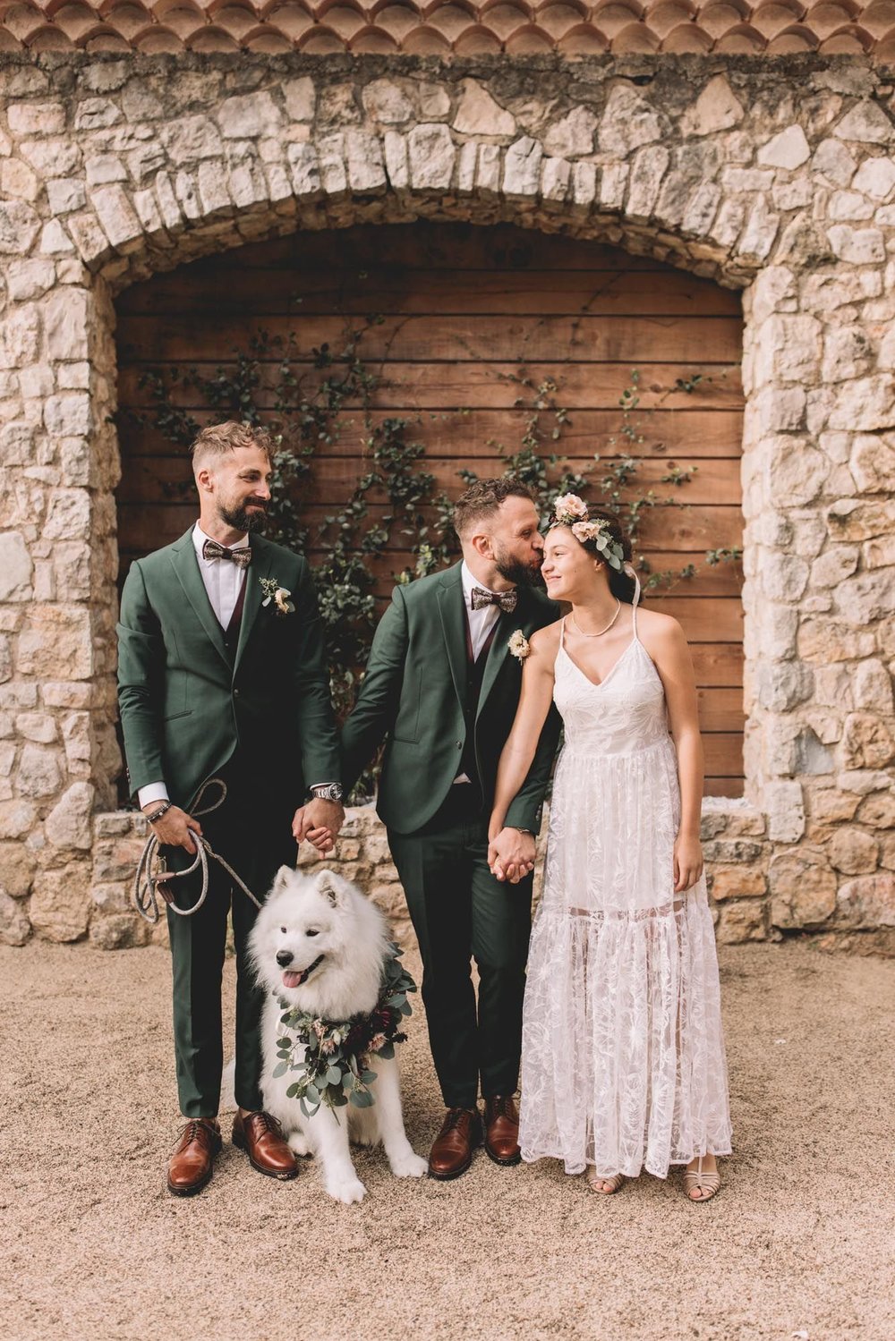 snow-samoyede-ours-nice