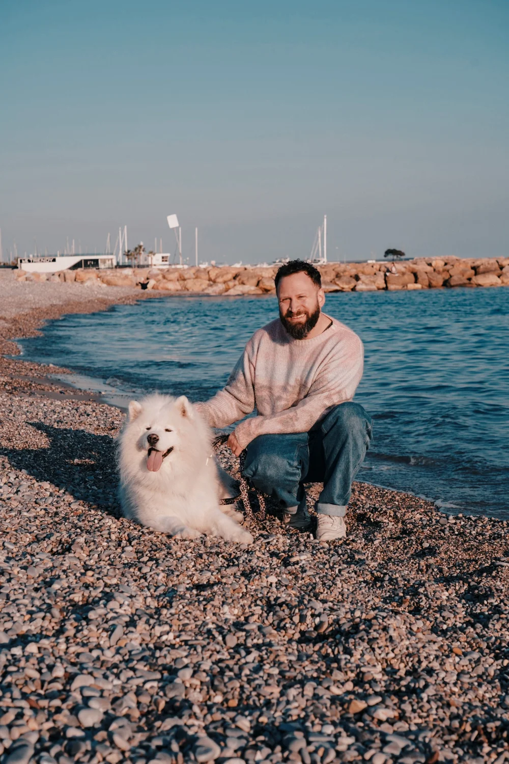 snow-samoyede-ours-nice