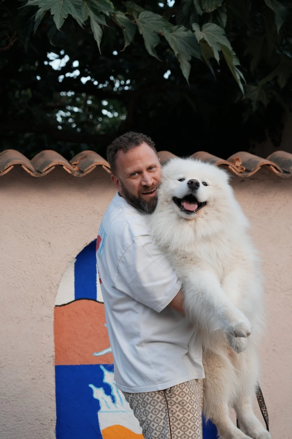 snow-samoyede-ours-nice