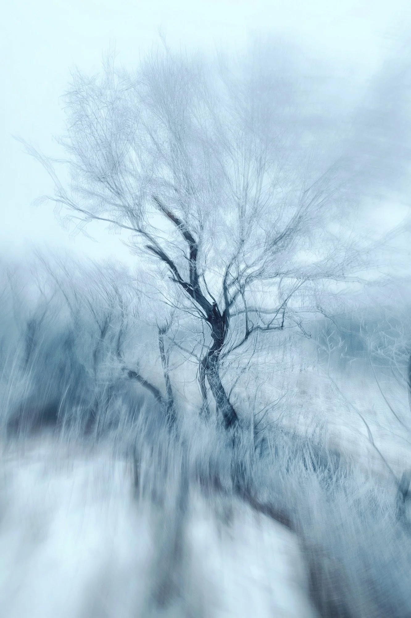 Blurry wintry scene - symbolizing the active dying phase