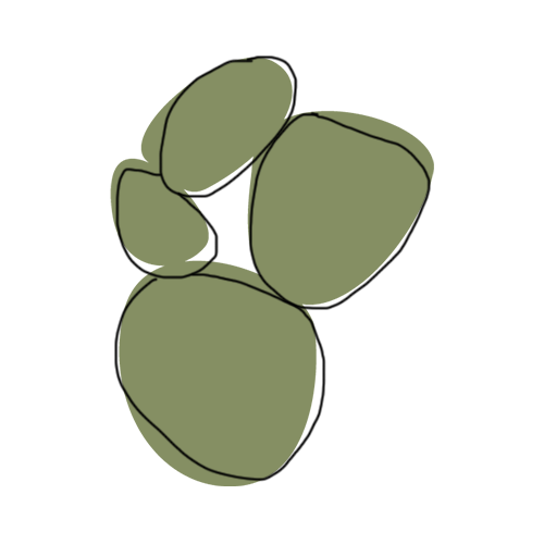 Organic rocks icon, representing the Preparatory Conversations