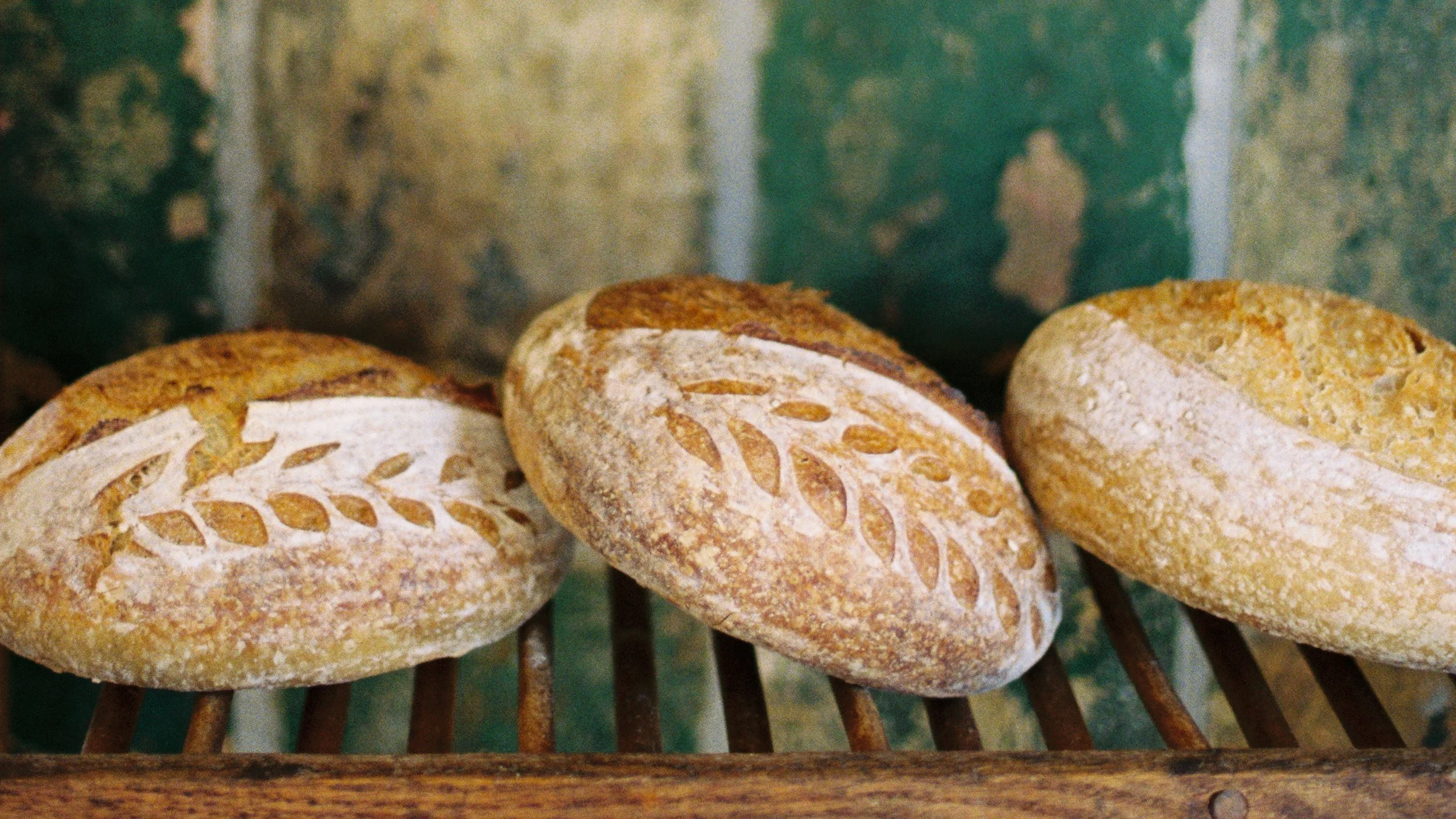 Naturally leavened sourdough boule against historic concrete block wall