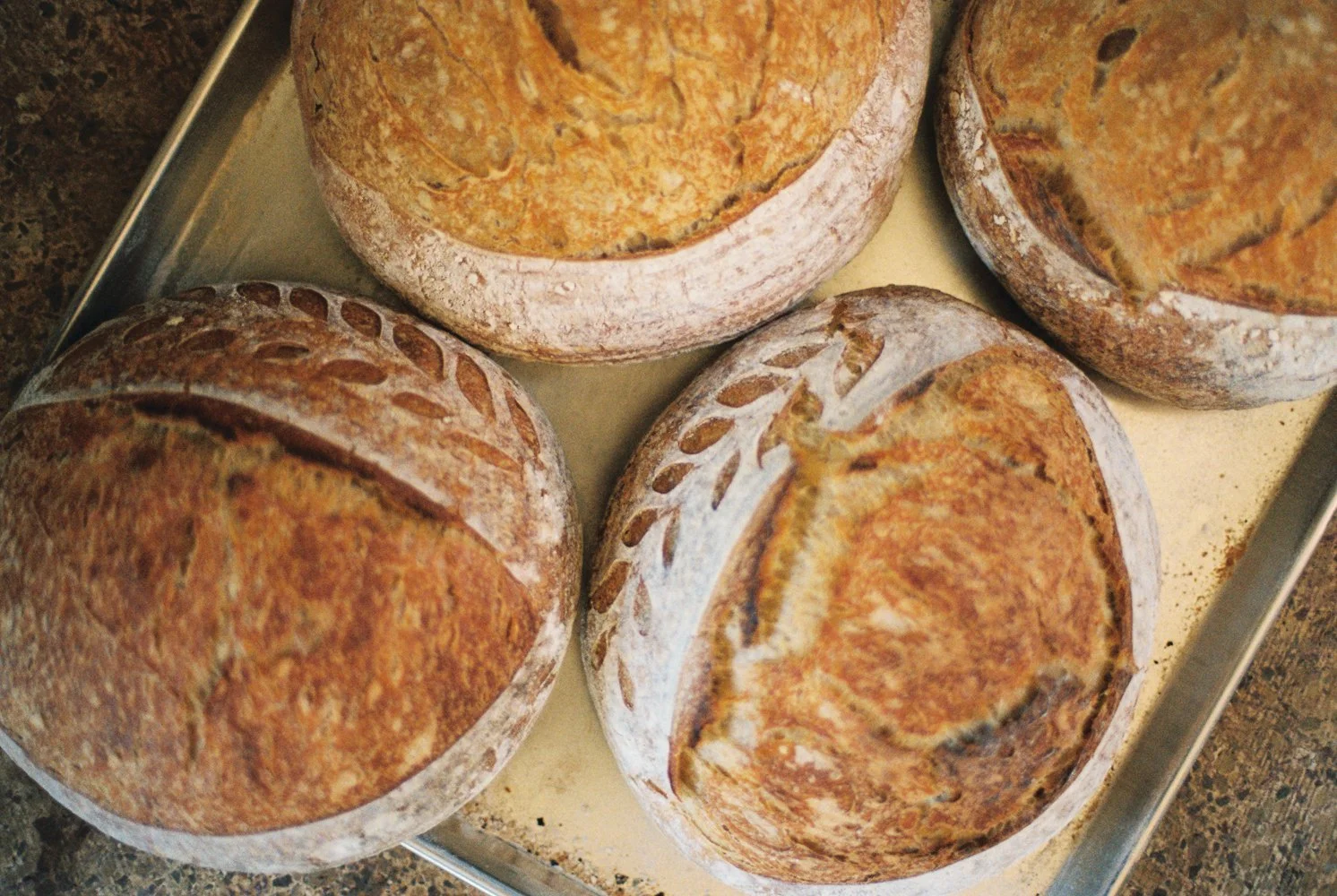 Metal pan full of naturally leavened sourdough bread inside From the Well in Roswell, GA