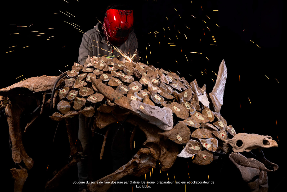 Capture d’écran 2024-05-07 à 17.37.11.png