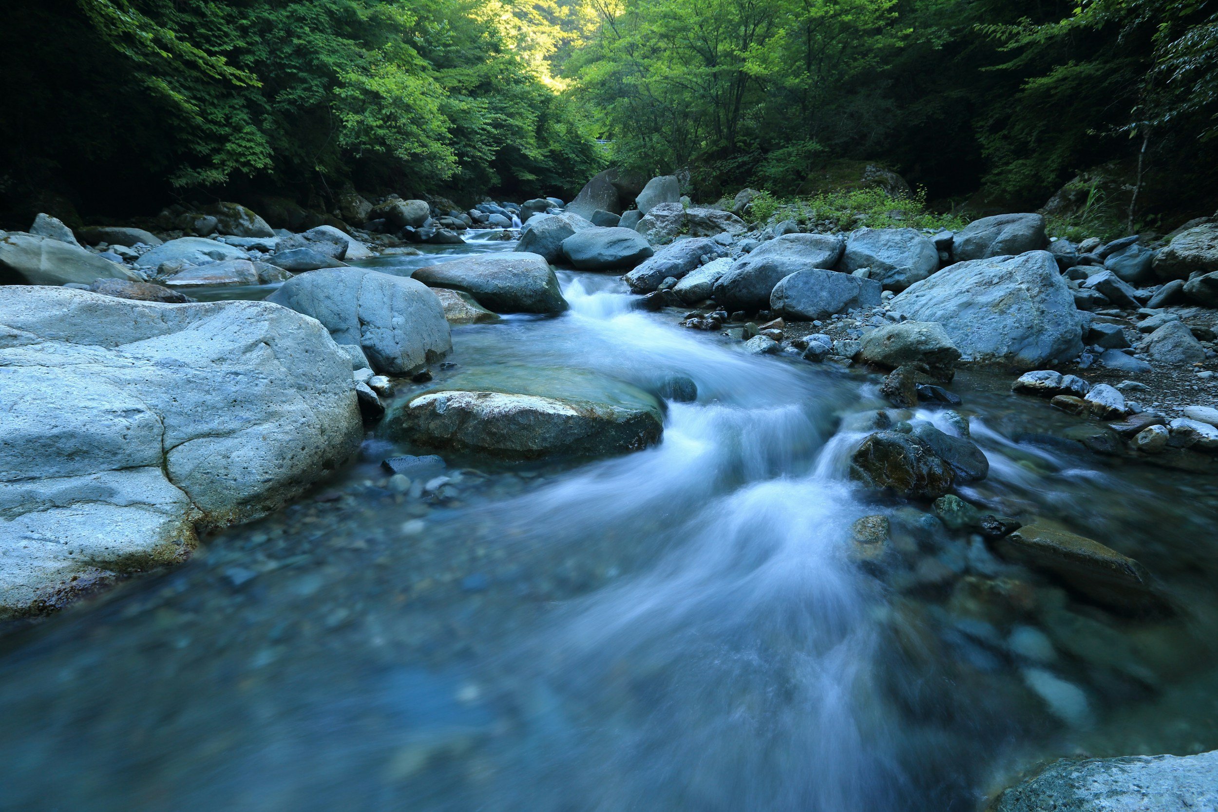Flow with Life
