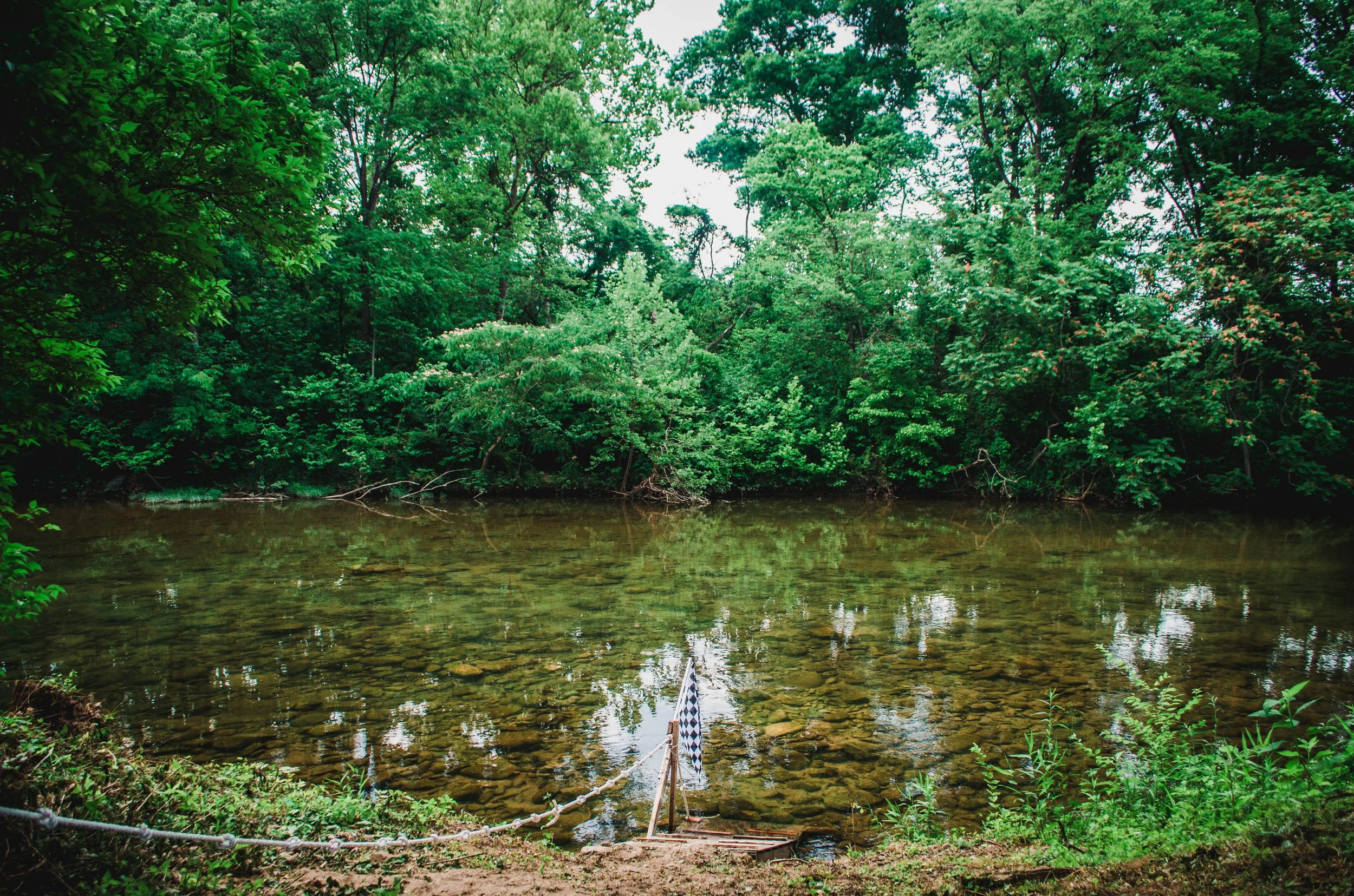DSC_0203.jpeg