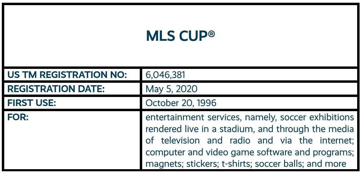 8 - MLS Cup.jpg