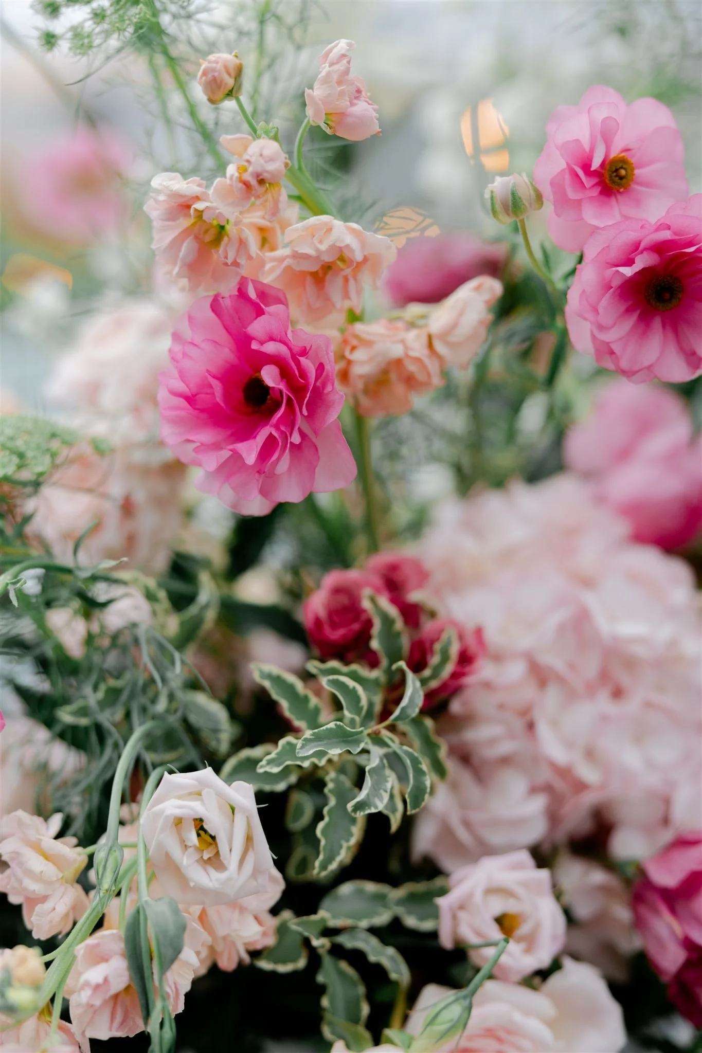 Shotlife Studio_Samantha & Stephen_Wedding_0196_websize.jpg