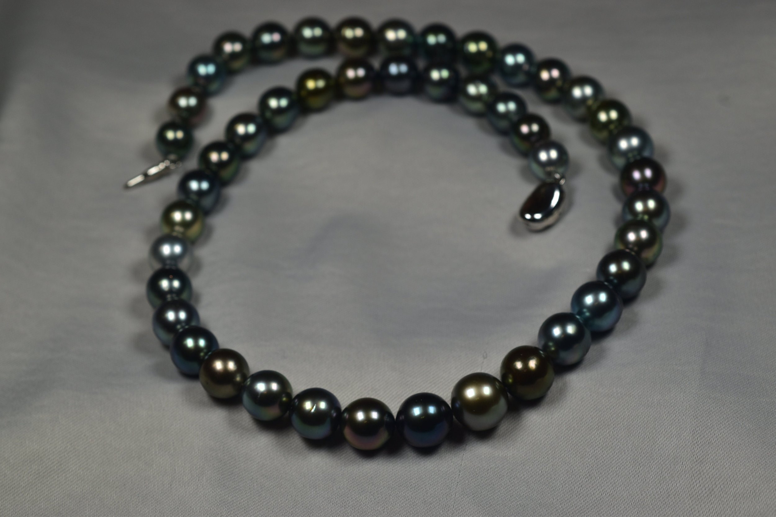 https://i.etsystatic.com/18684863/r/il/48636e/5022840991/il_fullxfull.5022840991_mfjx.jpg