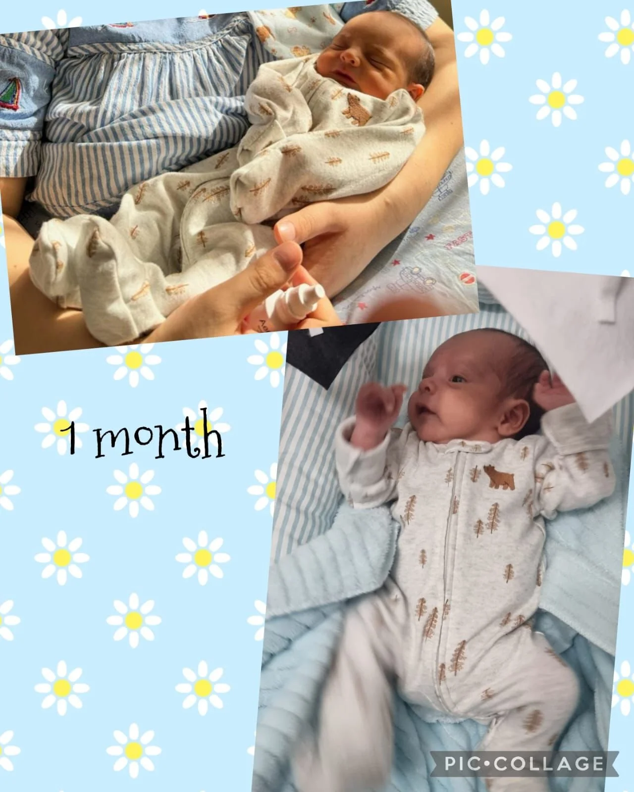 WhatsApp Image 2024-05-21 at 16.05.29.jpeg