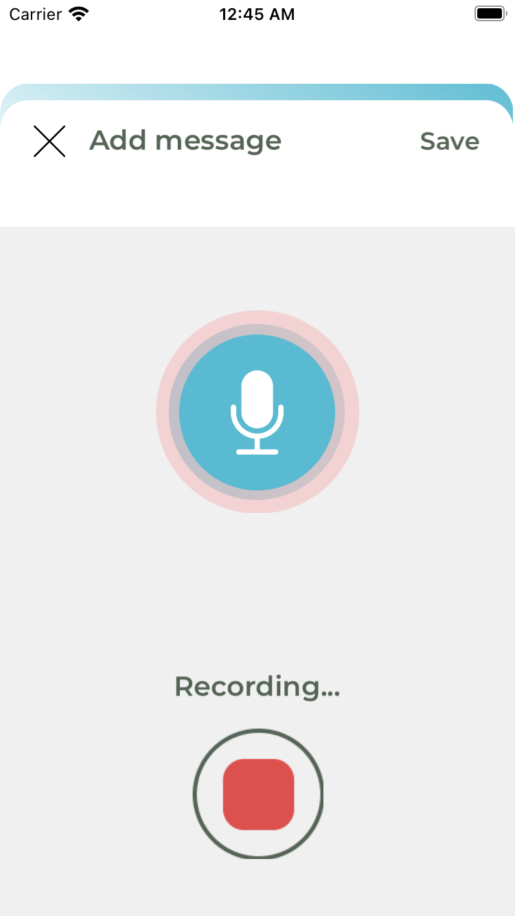 Add Voice Message.png