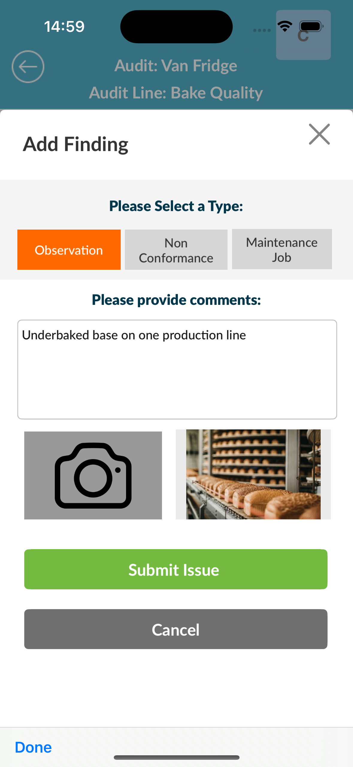 Food Manufacturing Audit