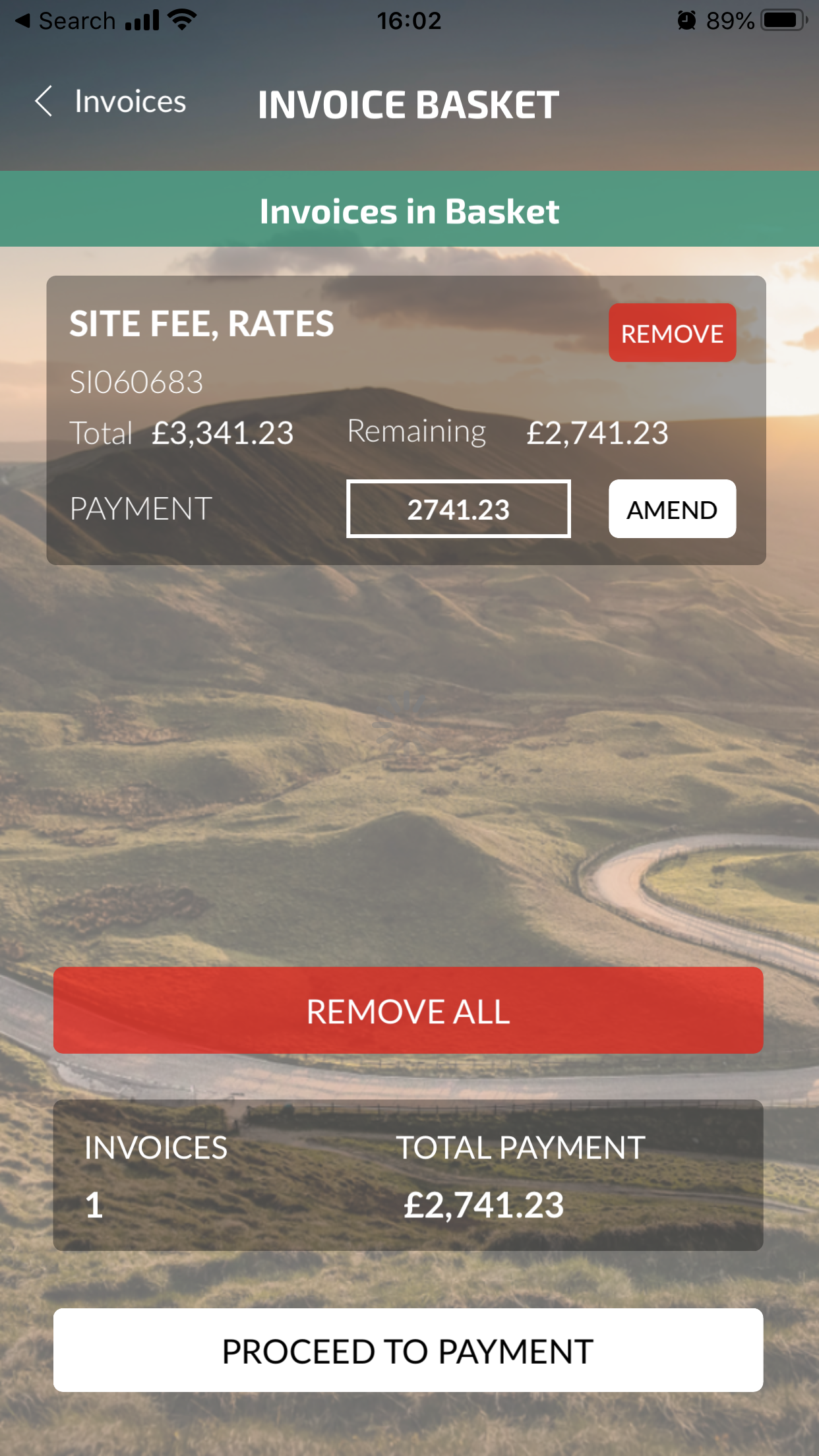 Invoice Basket Scene.PNG