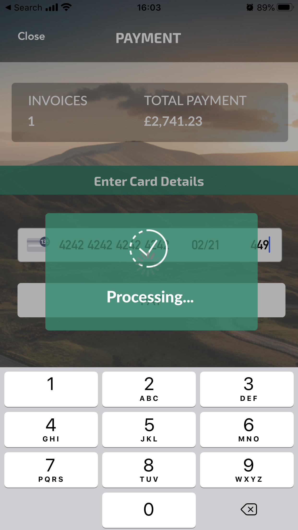 Payment Processing.PNG