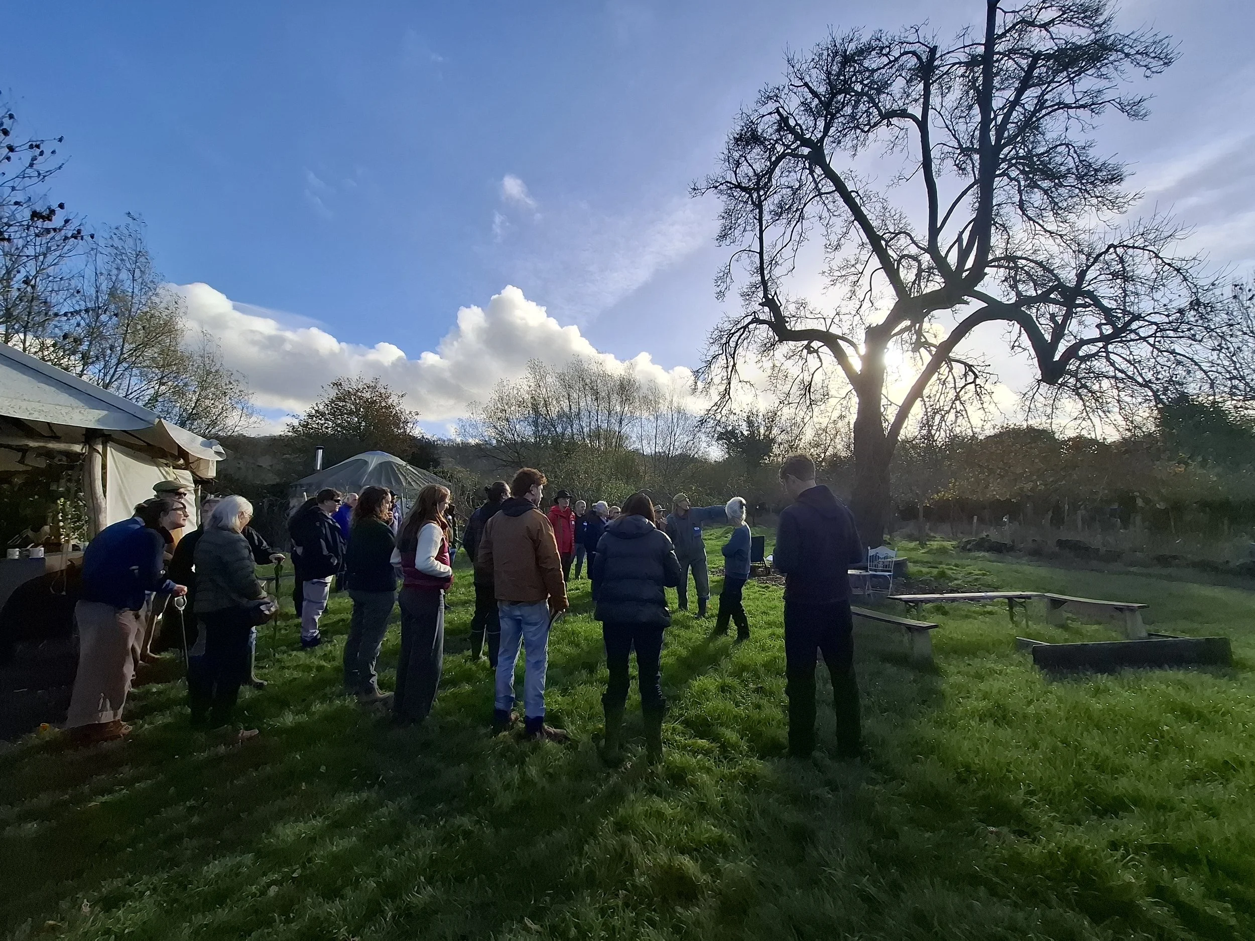 Managing traditional orchards for produce and wildlife