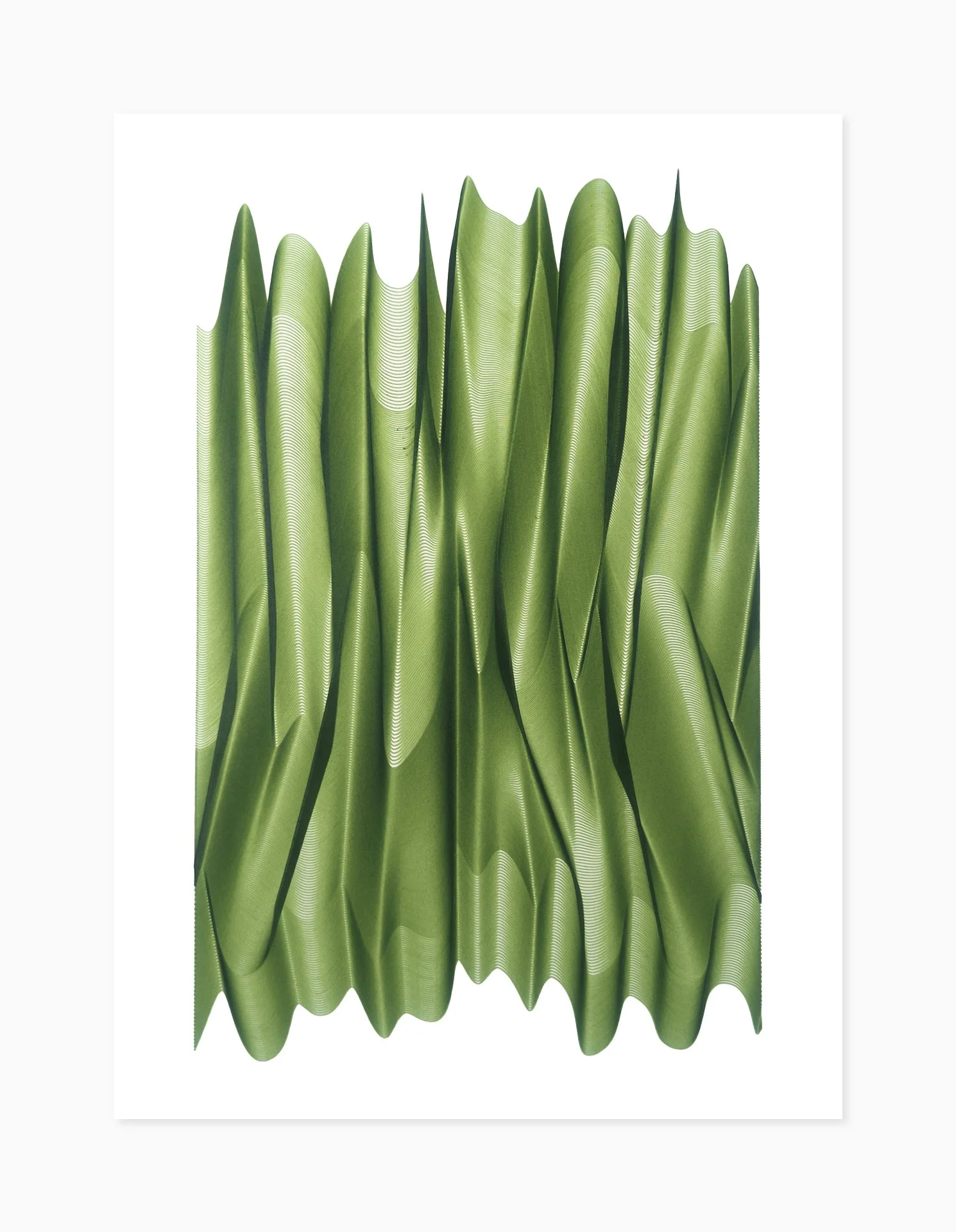 PLOTTED FOLDING 001.jpg