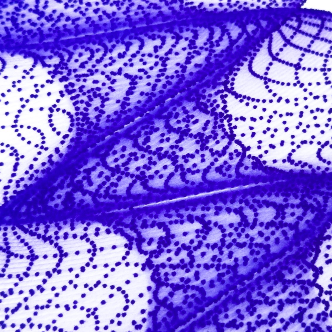 WATERCOLOR PLOTTING 003 - DETAIL.jpg