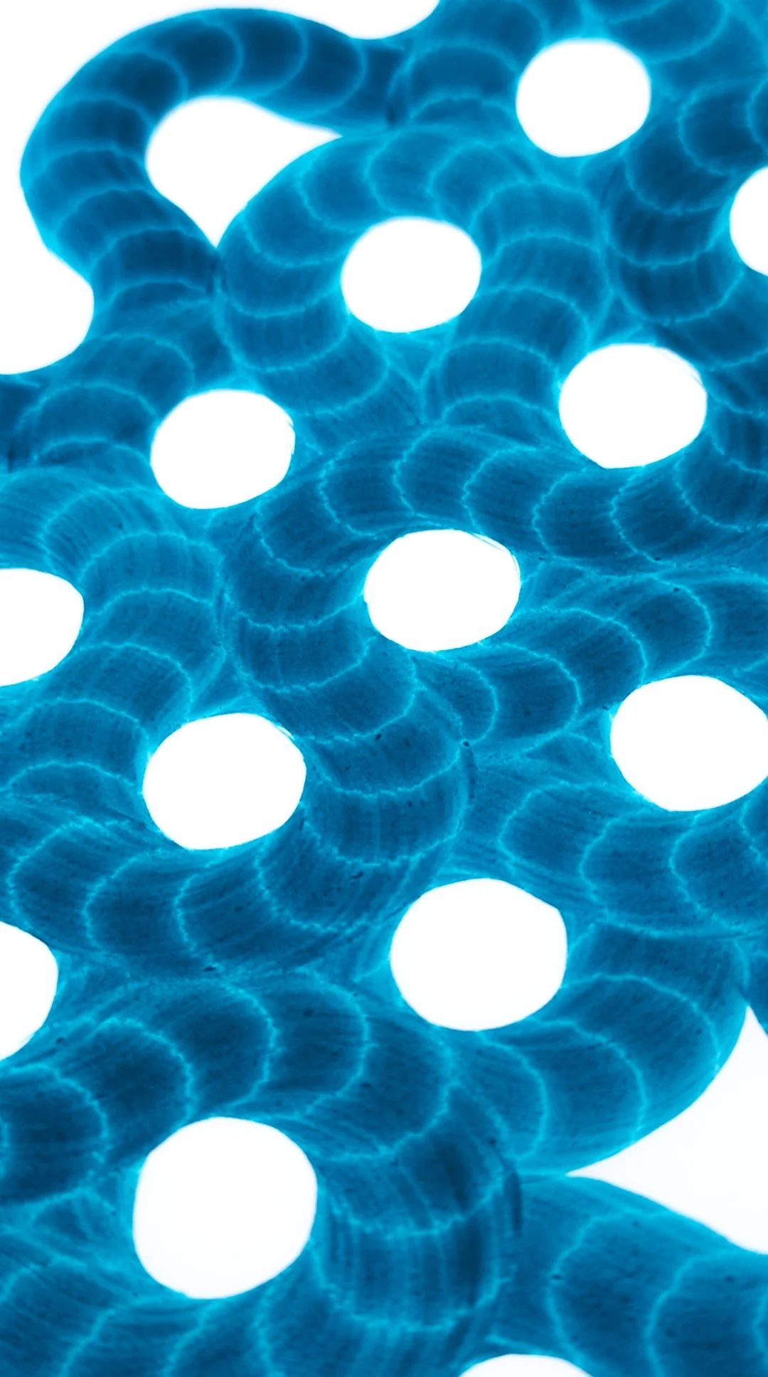 PLOTTED MAZE 010 - DETAIL.jpg