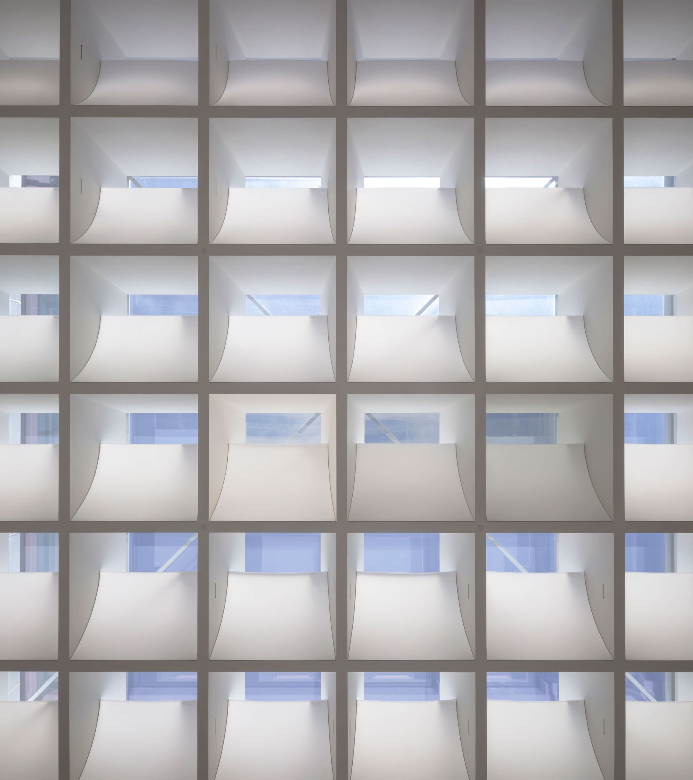 Manton Reading Room Skylight