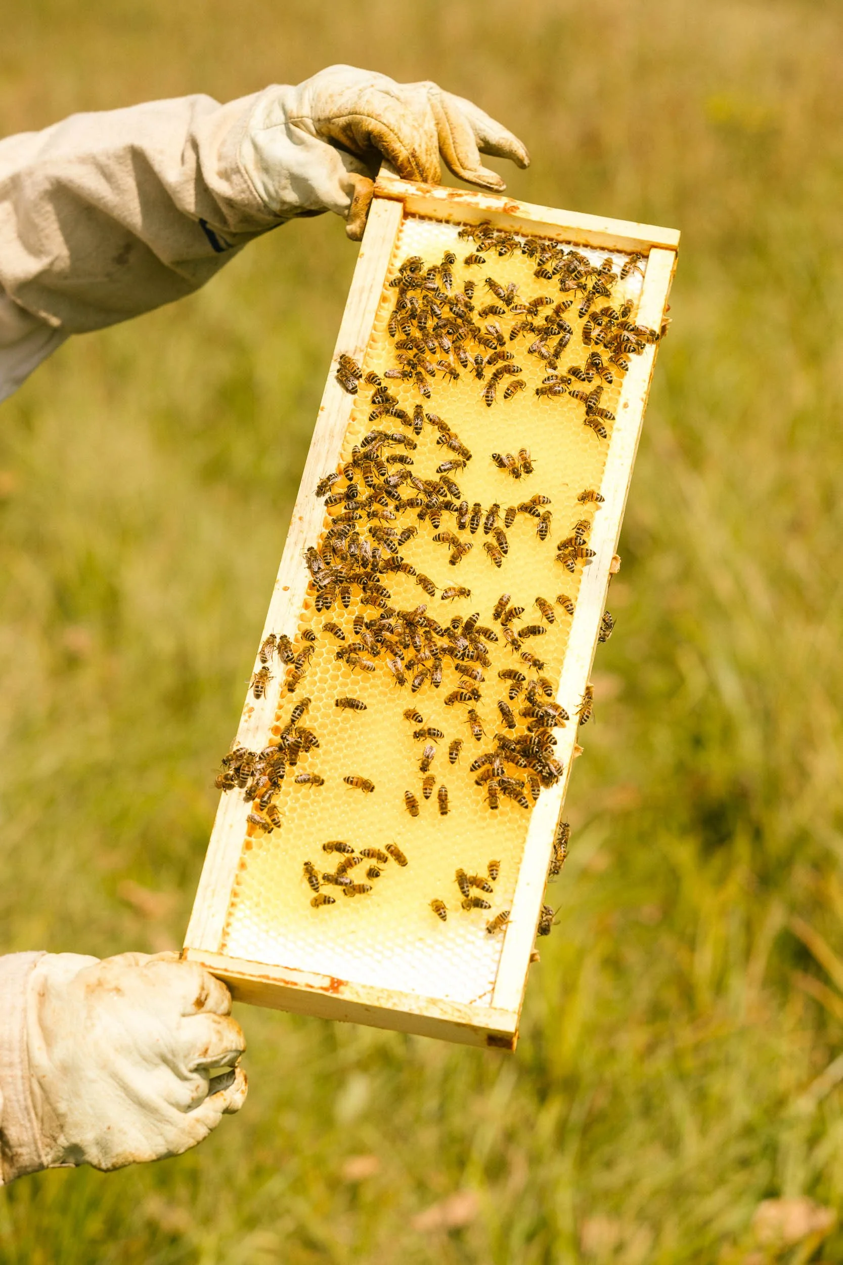 AaronWynia_AW 09-25-24-2735_MutualFriends.jpg