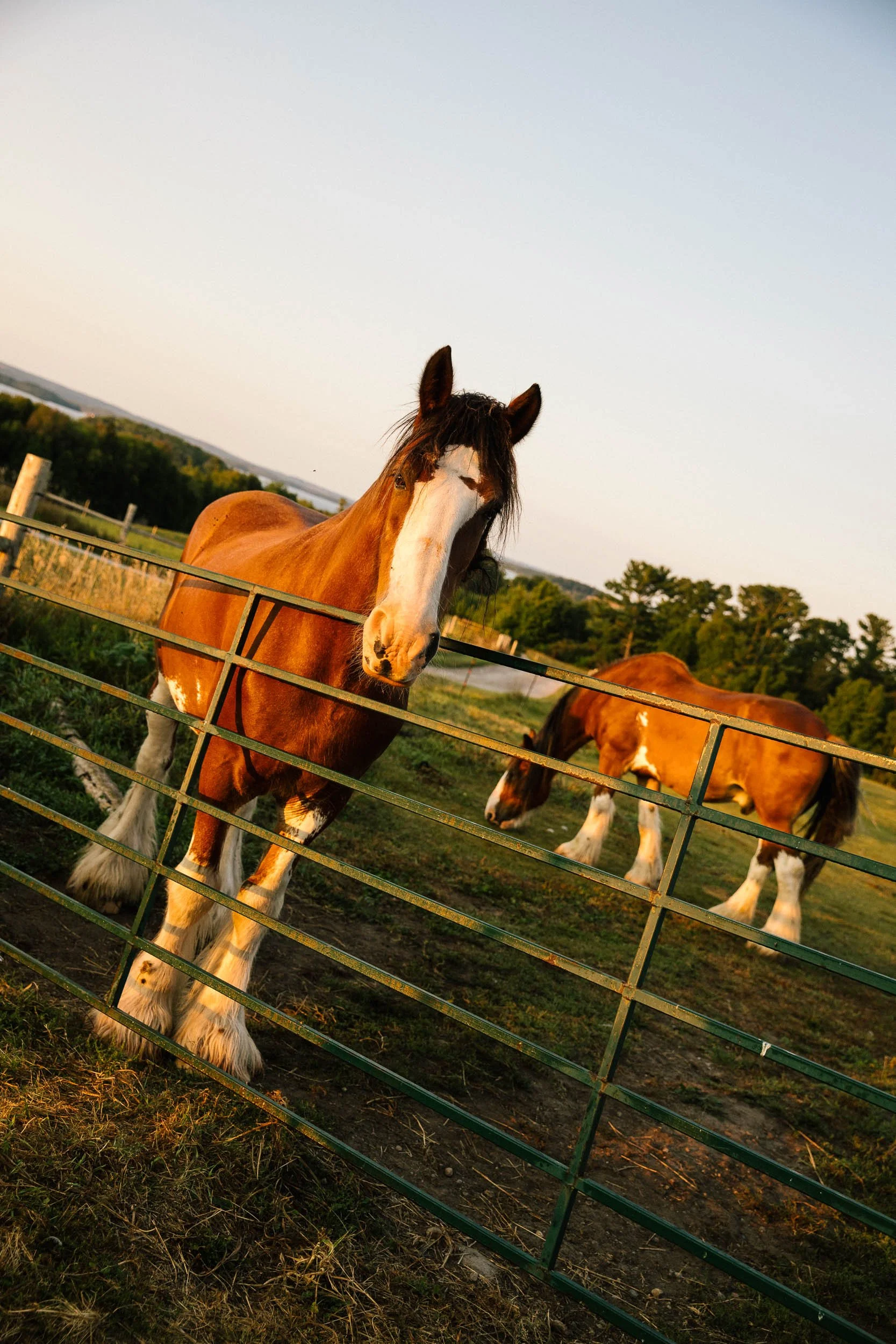 AaronWynia_AW 09-25-24-8525_MutualFriends.jpg