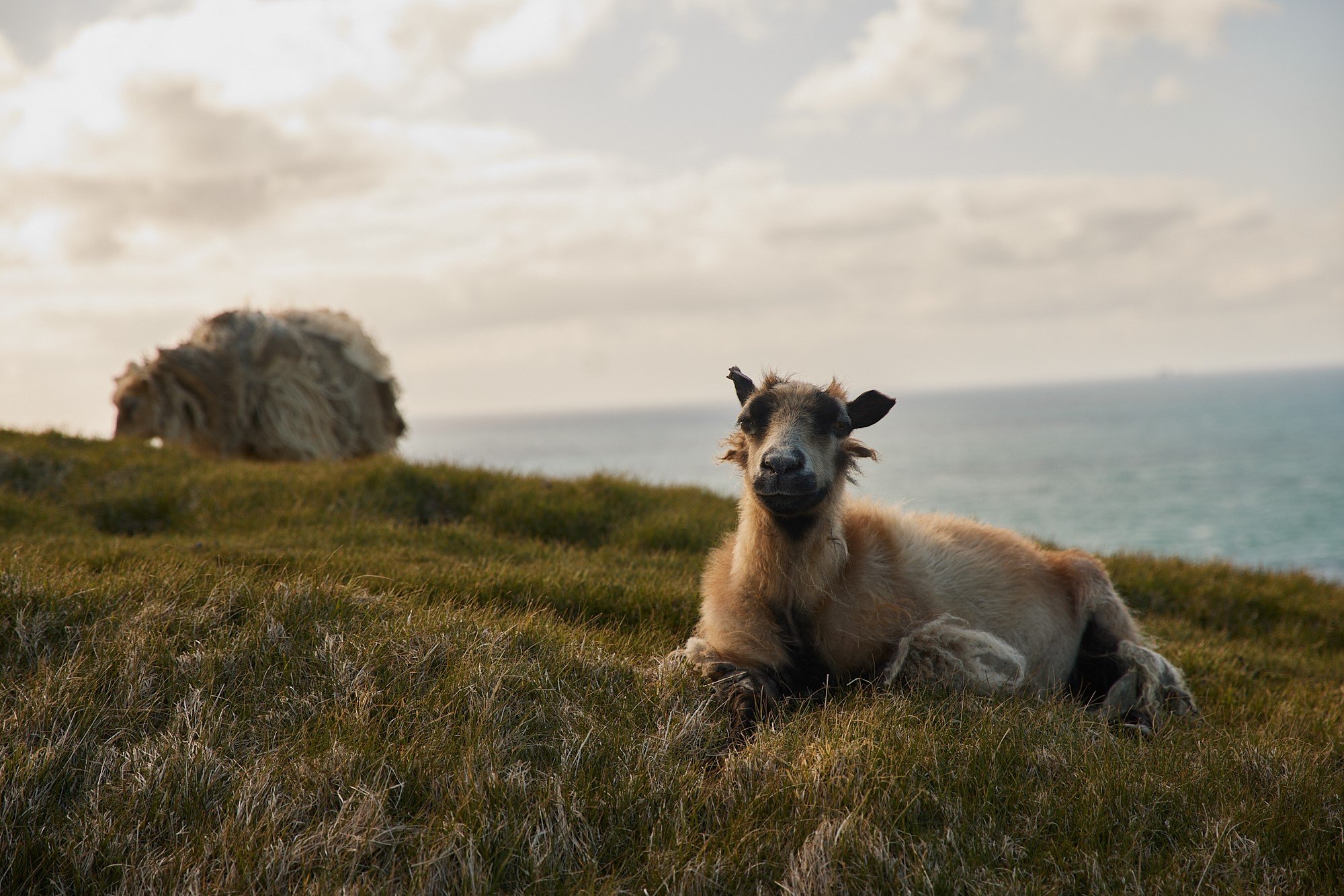 KatherineHolland_LR_RANGEMAG_ICELAND_ELVESSTORY_2023_KHOLLAND 150 .jpg