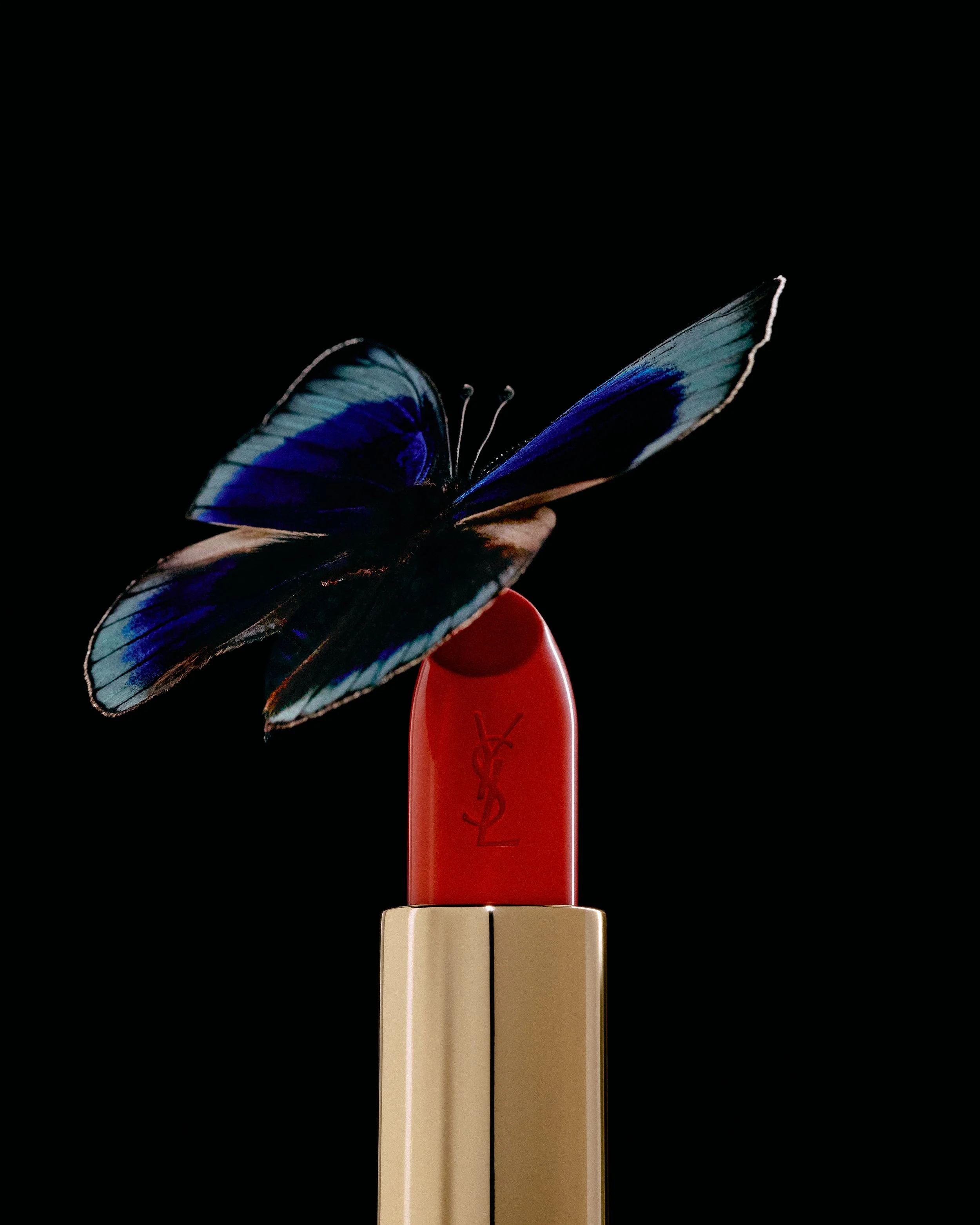 JoeBulawan_04_2026-05-11-BUTTERFLY_0397_HR_Butterfly.jpg
