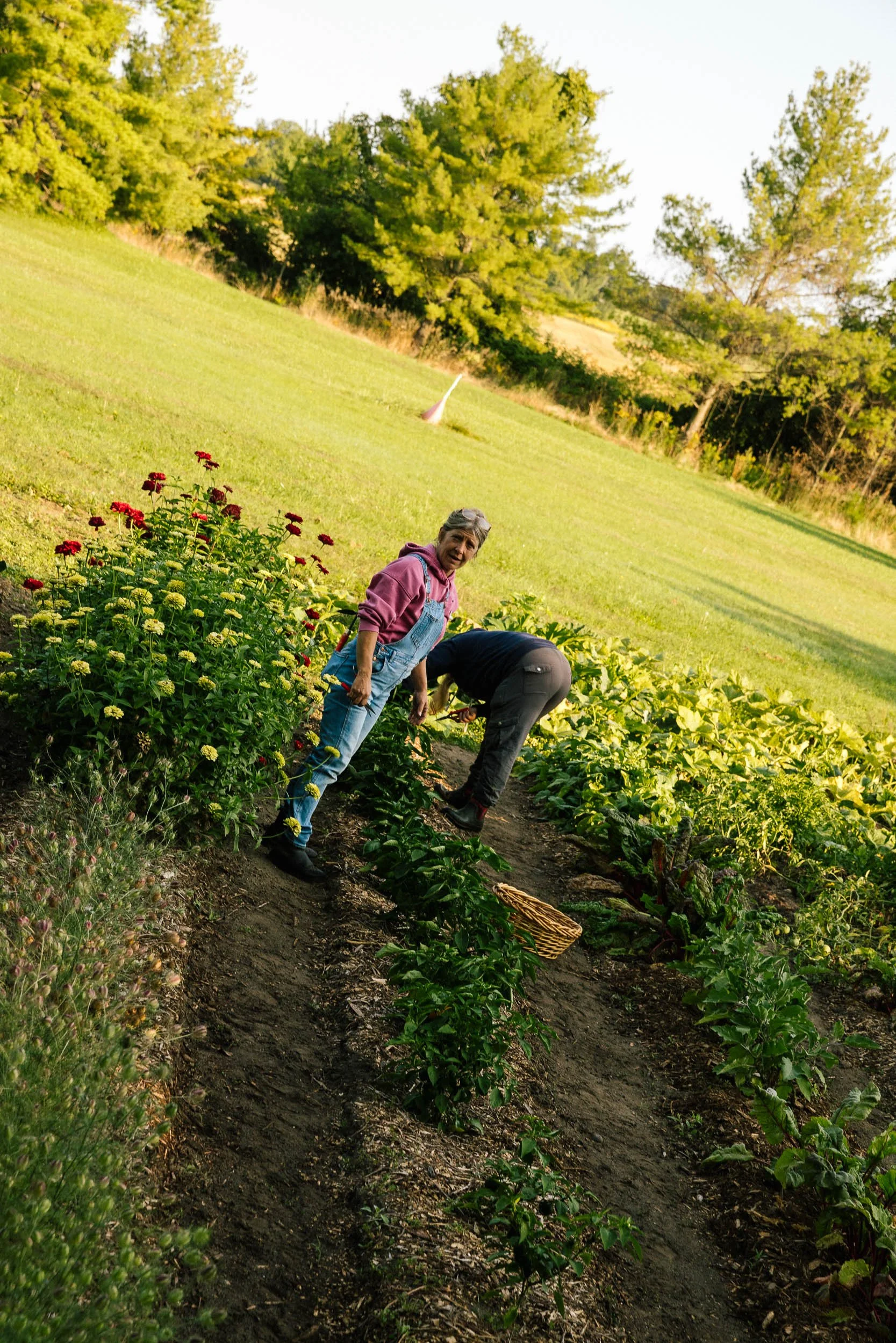 AaronWynia_AW 09-25-24-0405_MutualFriends.jpg