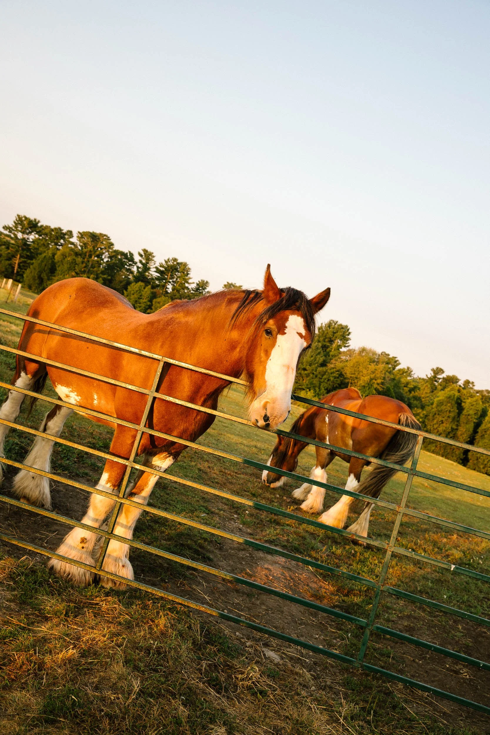 AaronWynia_AW 09-25-24-8511_MutualFriends.jpg