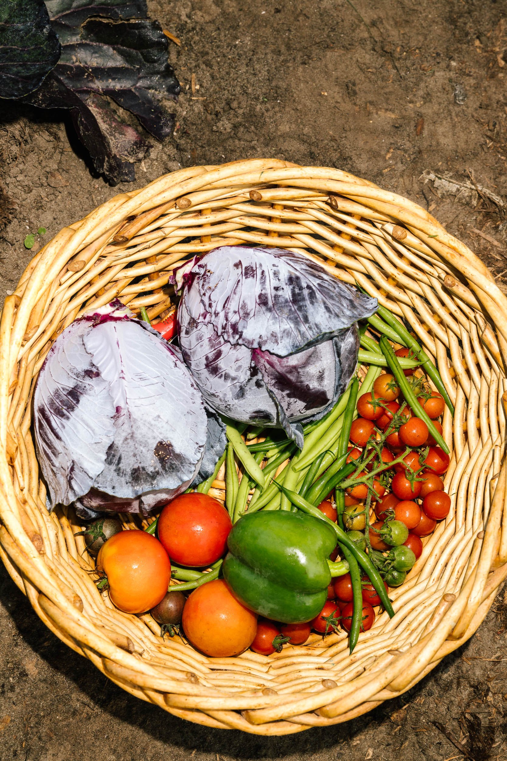 AaronWynia_AW 09-25-24-0424_MutualFriends.jpg