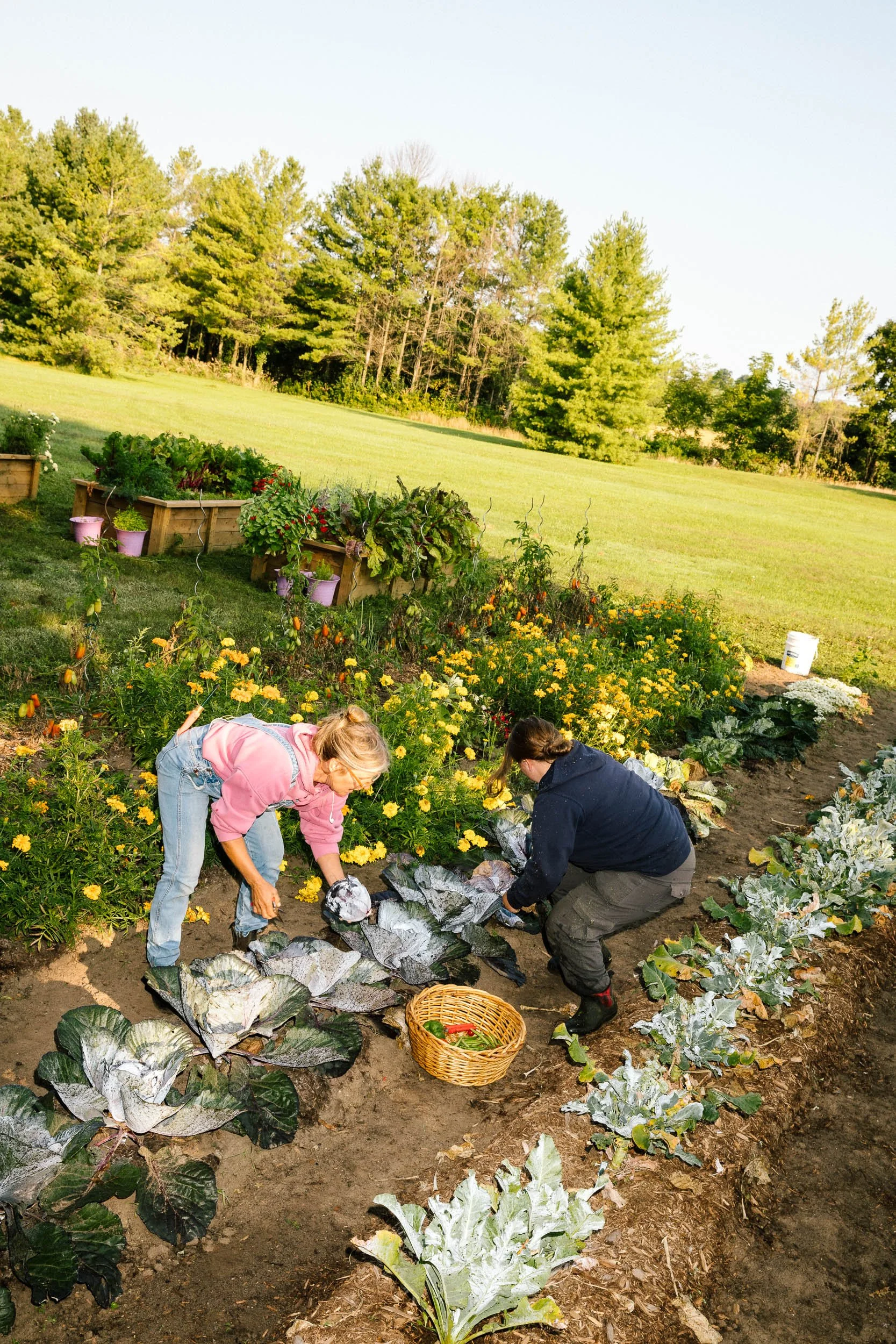 AaronWynia_AW 09-25-24-0410_MutualFriends.jpg