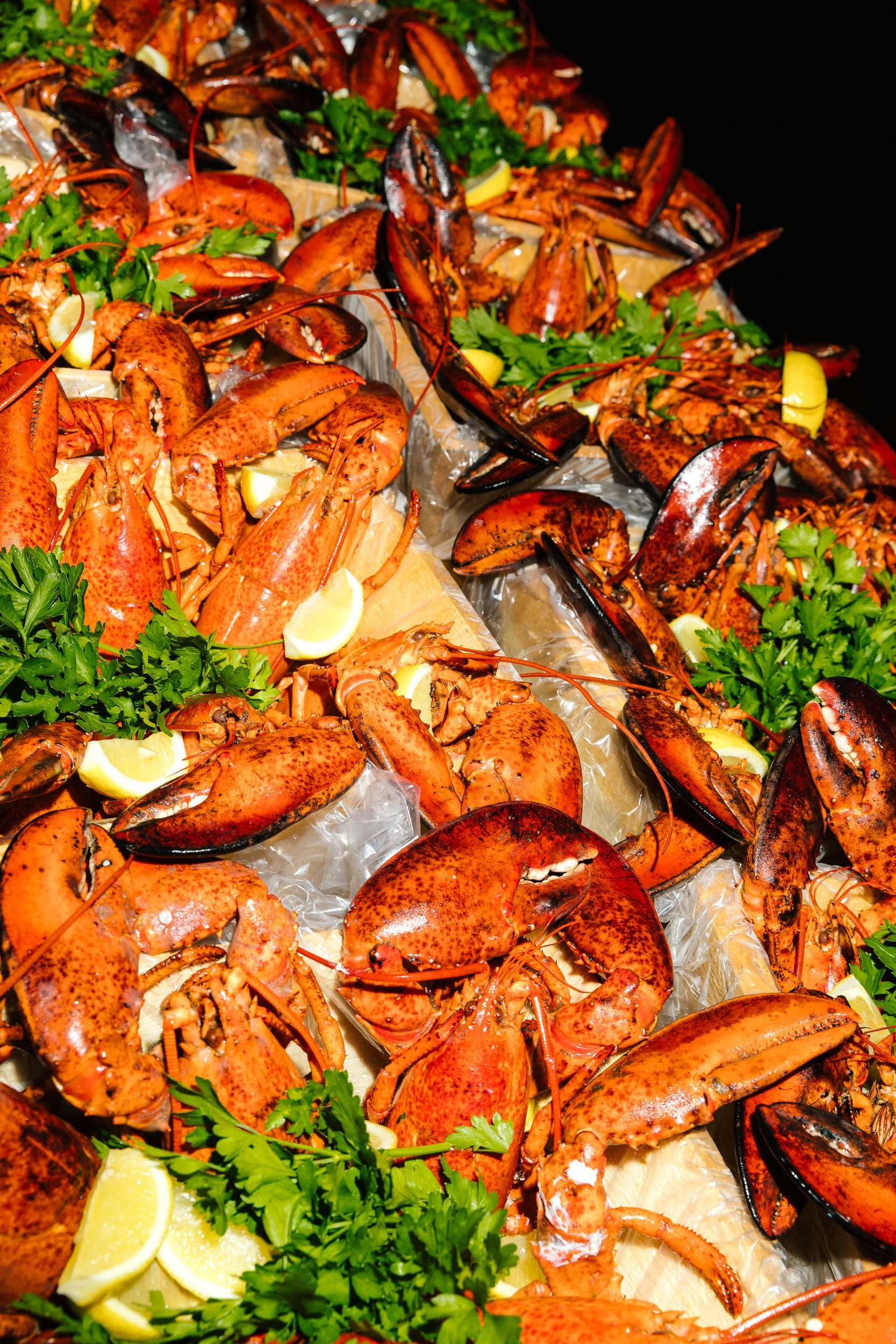 AW 2025-10-07(2)-3504.jpg