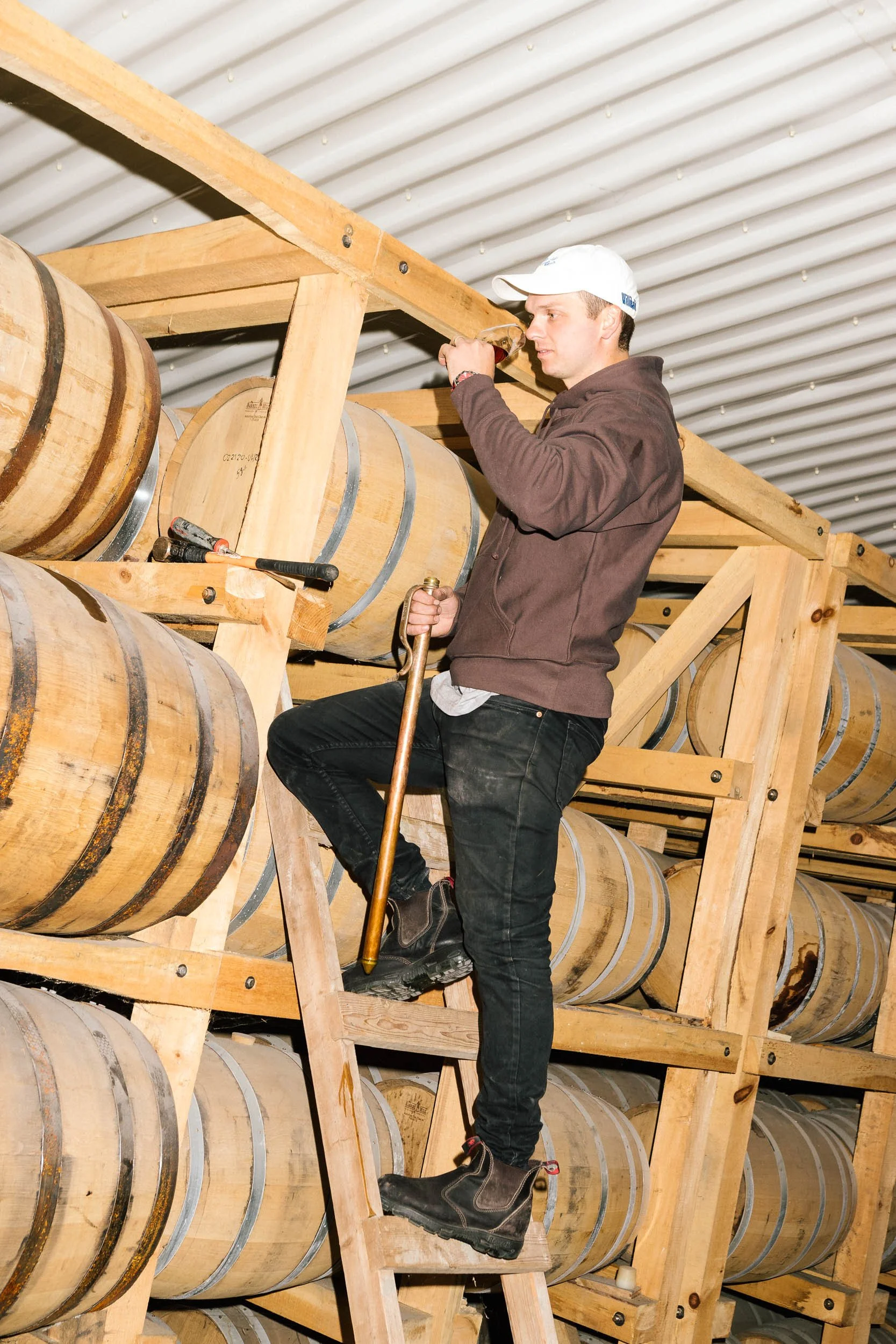 AaronWynia_AW 09-15-23-8761_Willibald.jpg