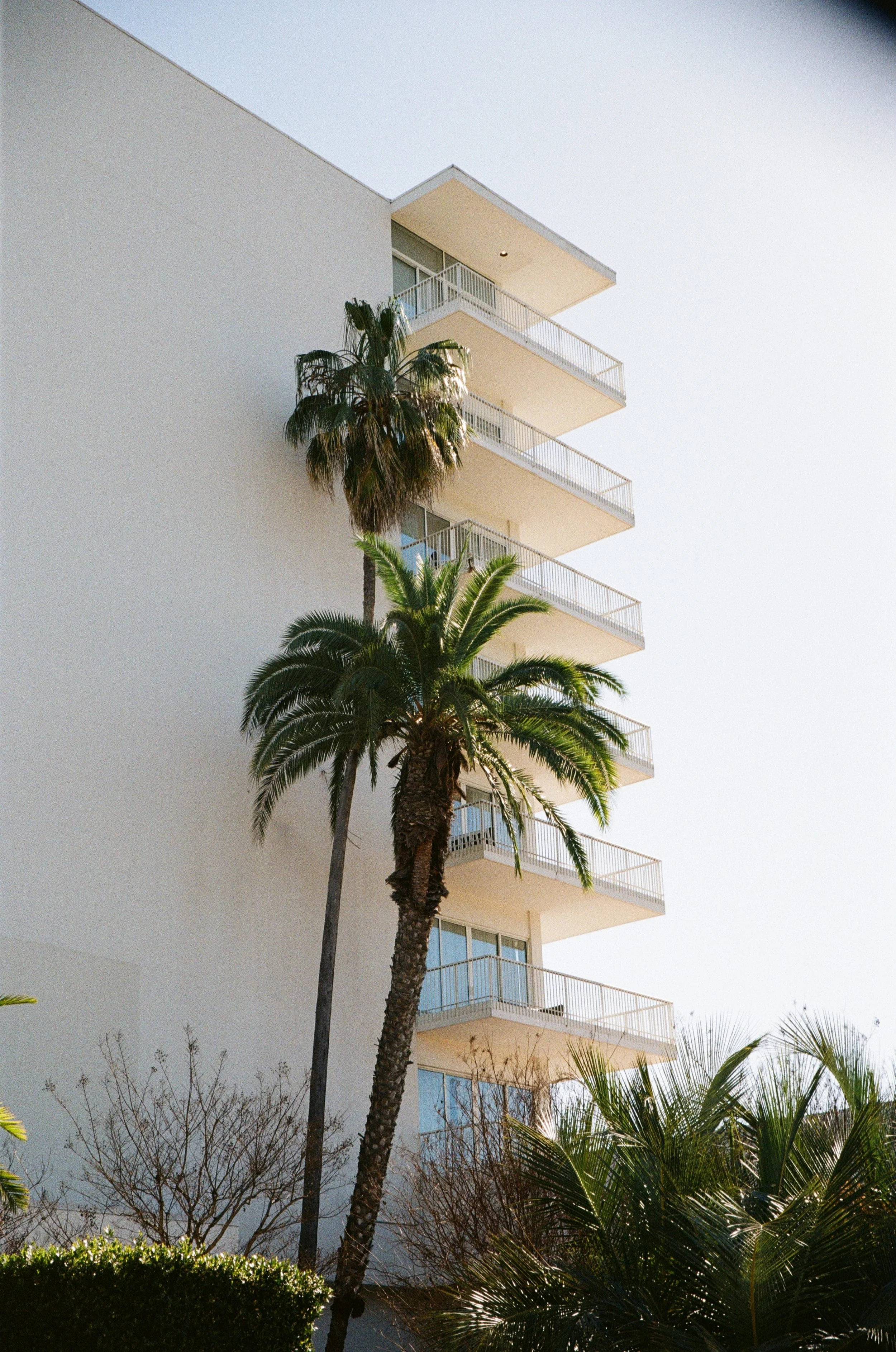 LouisaNicolaou_LA_002_Personal.jpg