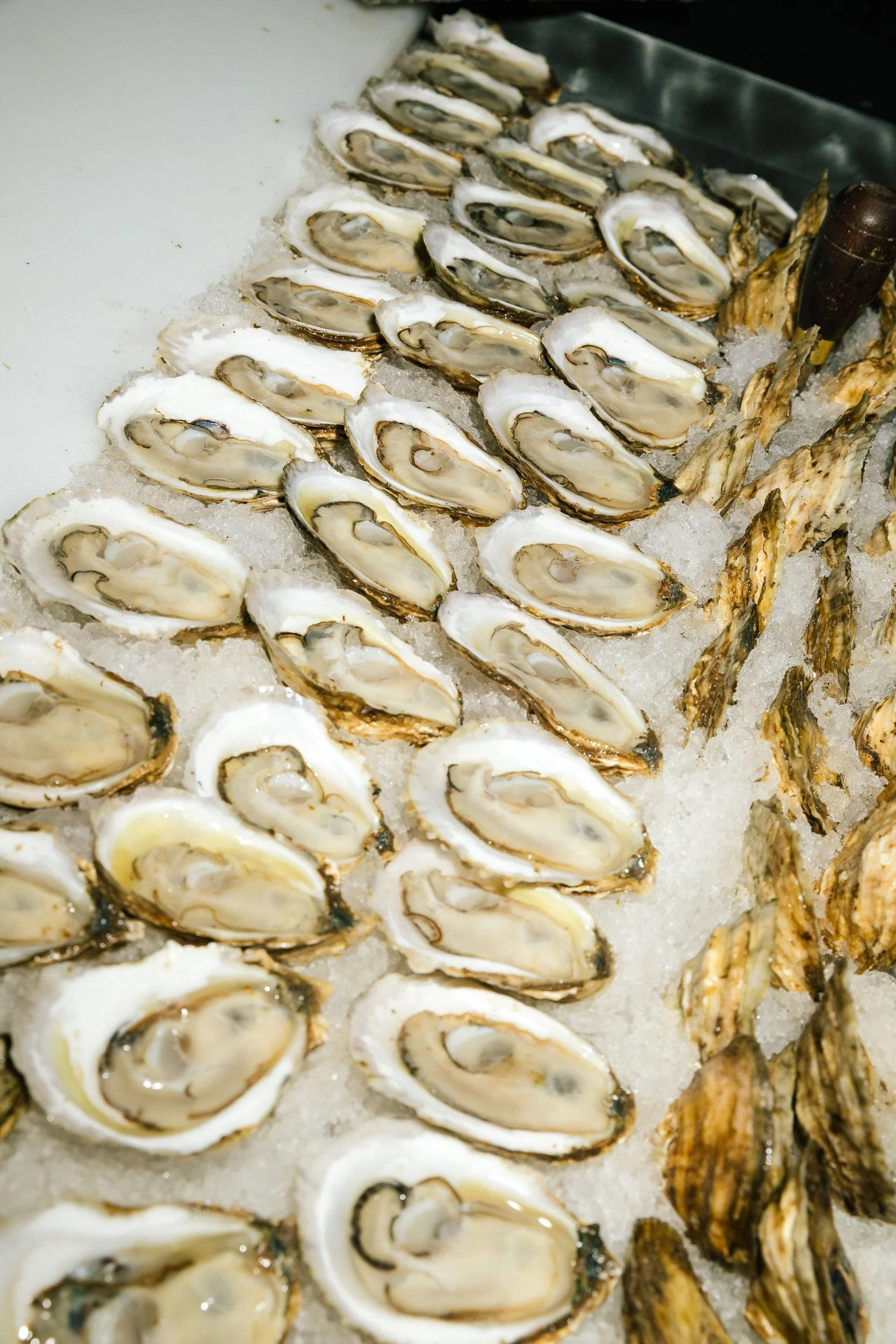 AW 2025-10-07(2)-3590.jpg