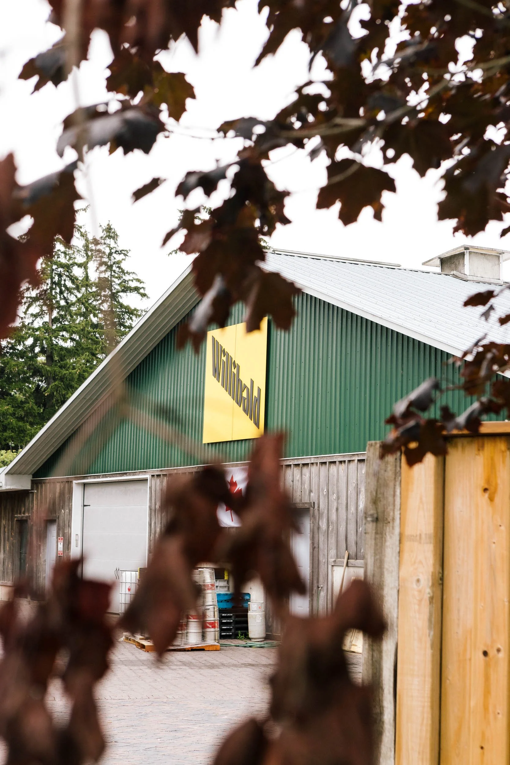 AaronWynia_AW 09-15-23-9461_Willibald.jpg