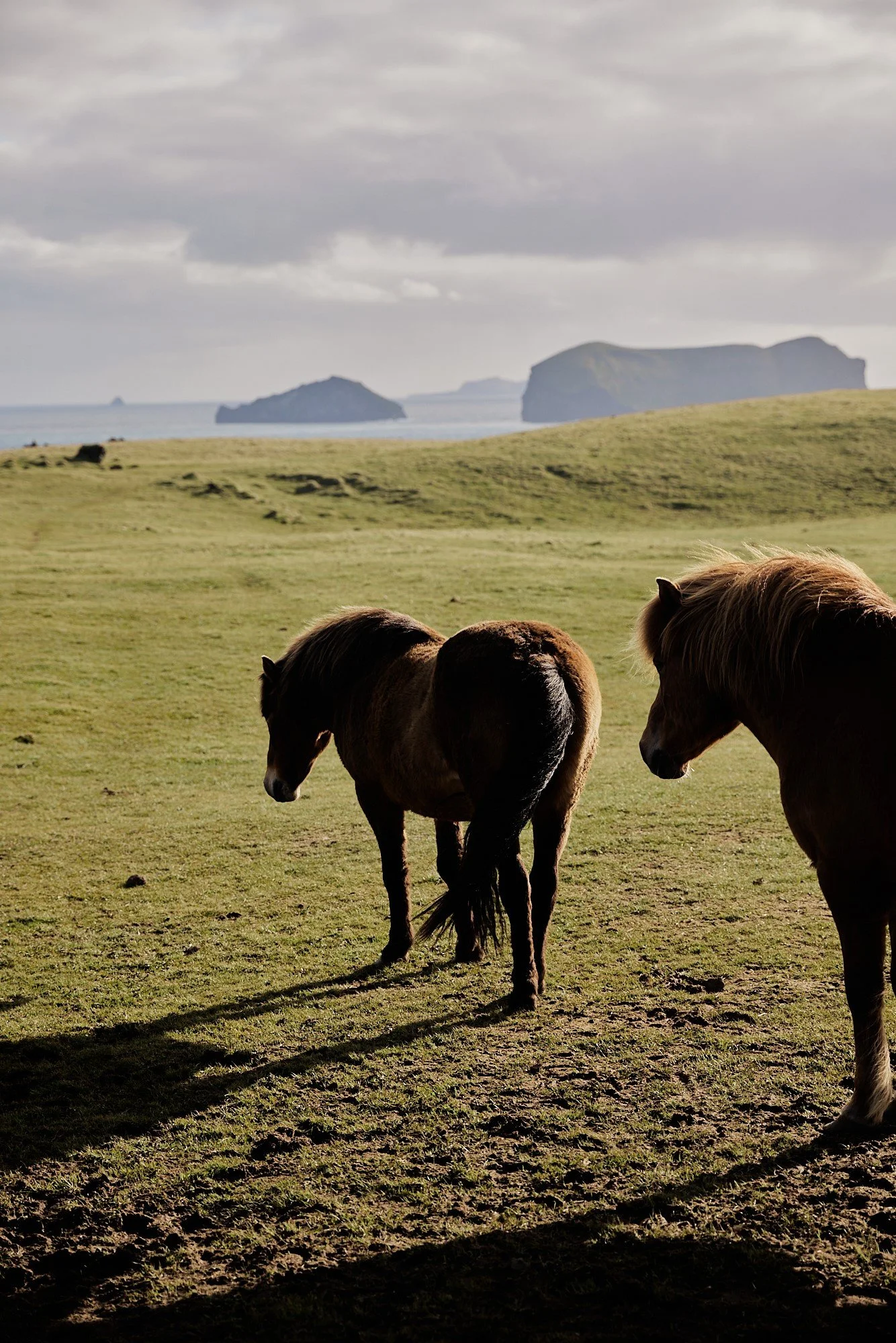 KatherineHolland_LR_RANGEMAG_ICELAND_ELVESSTORY_2023_KHOLLAND 170 .jpg